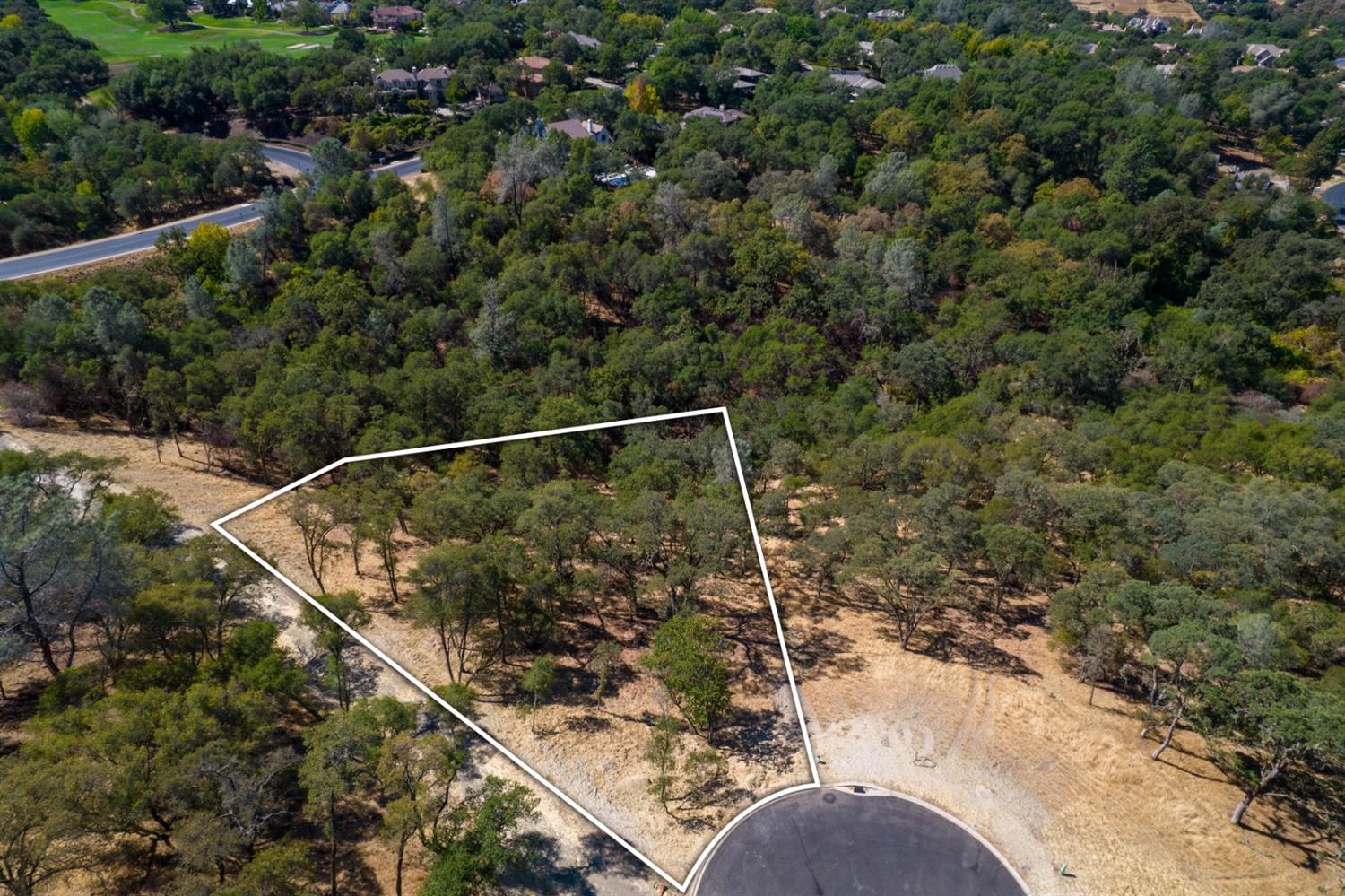 320 Raphael Court, El Dorado Hills, California, 95762, United States, ,Land,For Sale,320 Raphael Court,1643043
