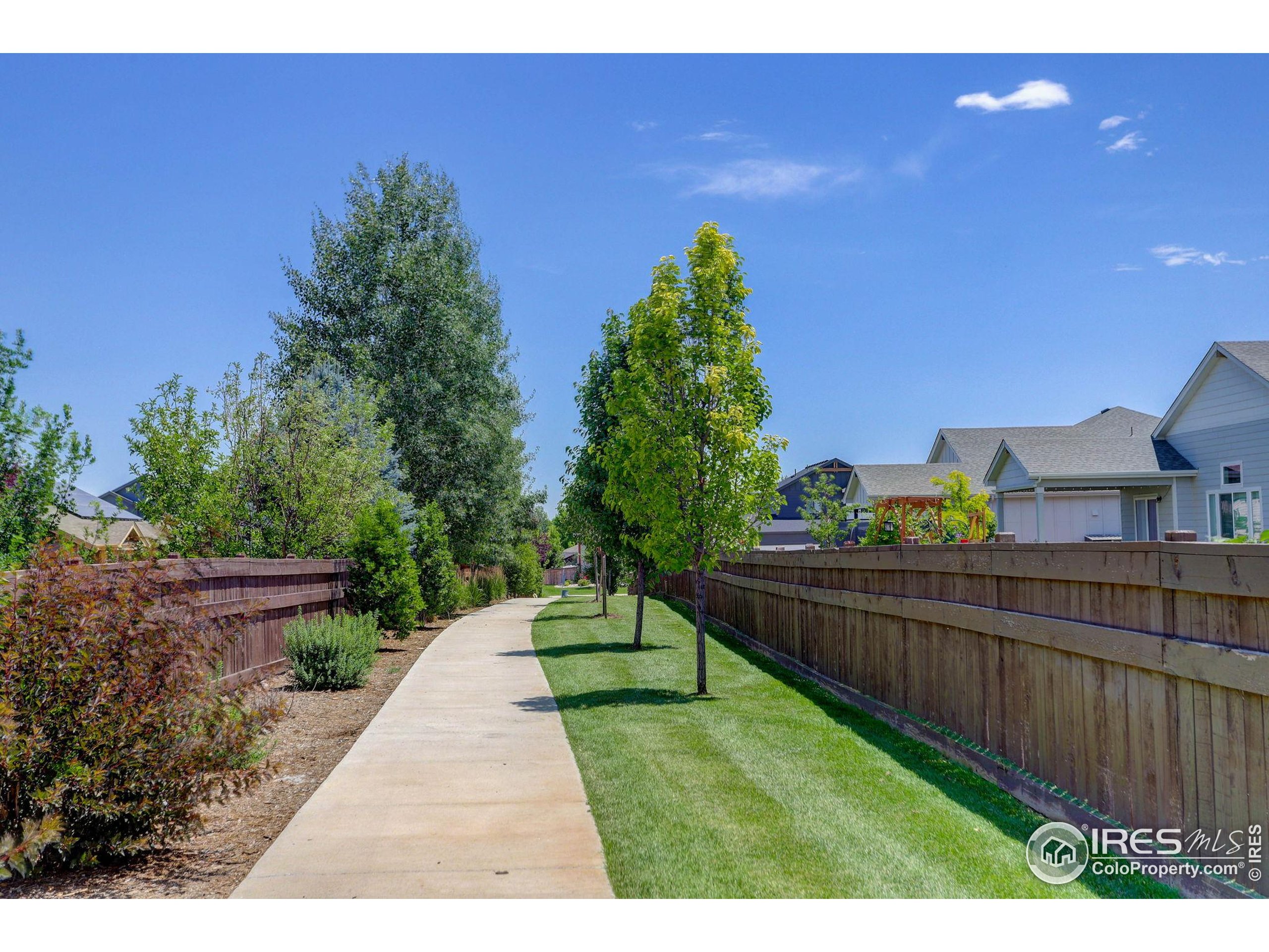 Windsor, Colorado, 80550, United States, 3 Bedrooms Bedrooms, ,1 BathroomBathrooms,Residential,For Sale,1932805