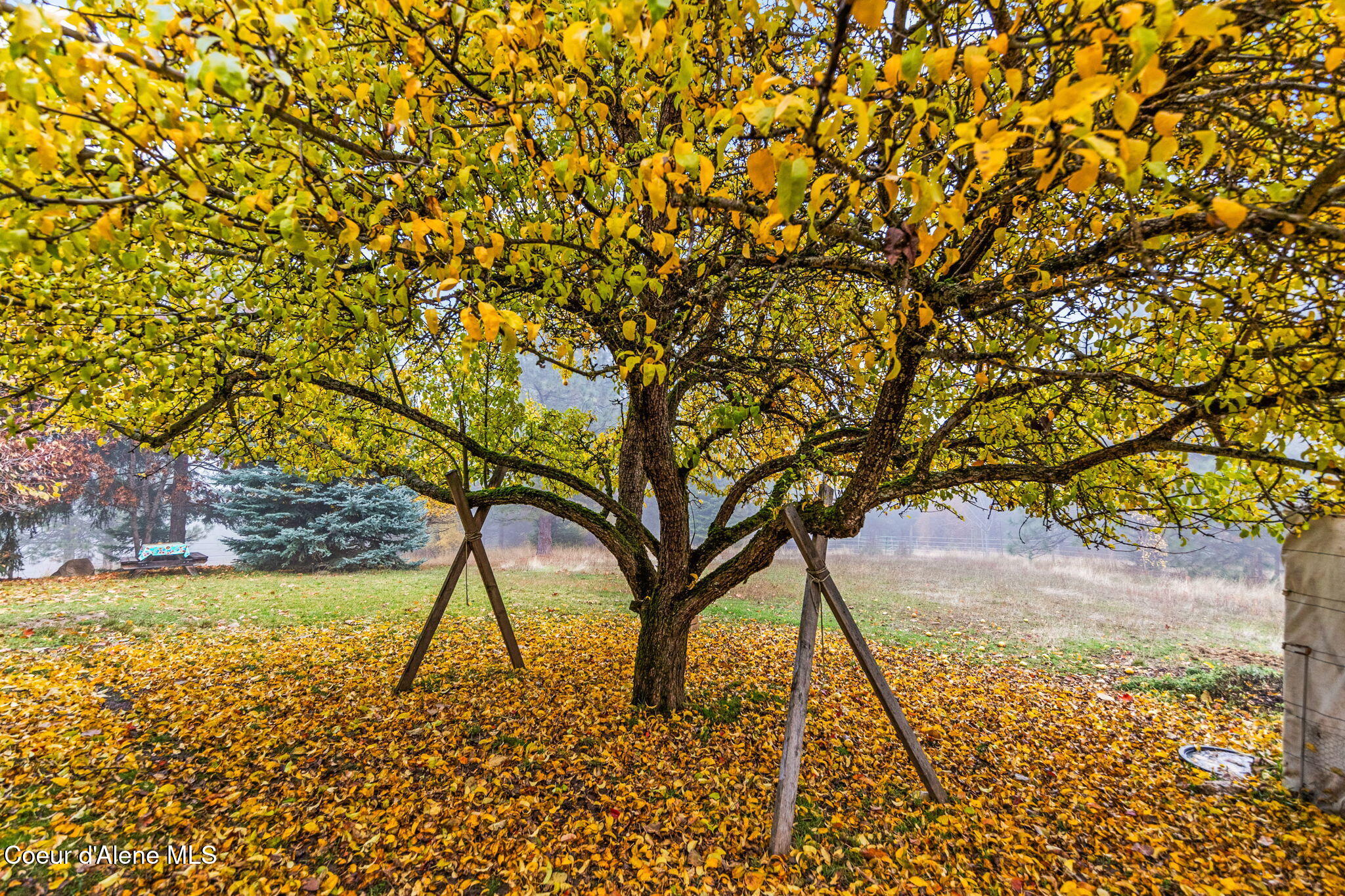 Harrison, Idaho, 83833, United States, 3 Bedrooms Bedrooms, ,Residential,For Sale,1990748
