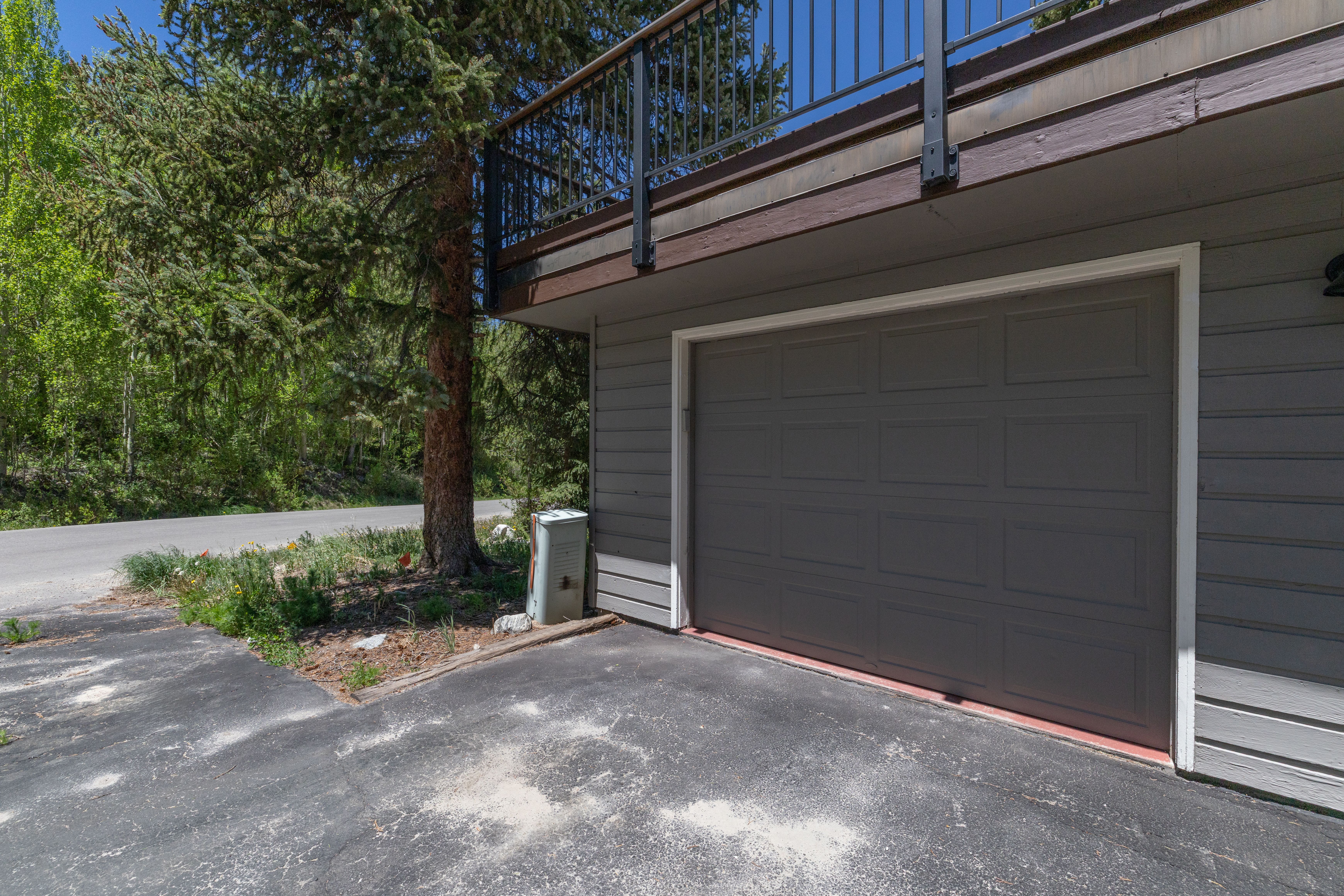  87 Flintstone Lane, Breckenridge, CO, 80424 - 物件實景