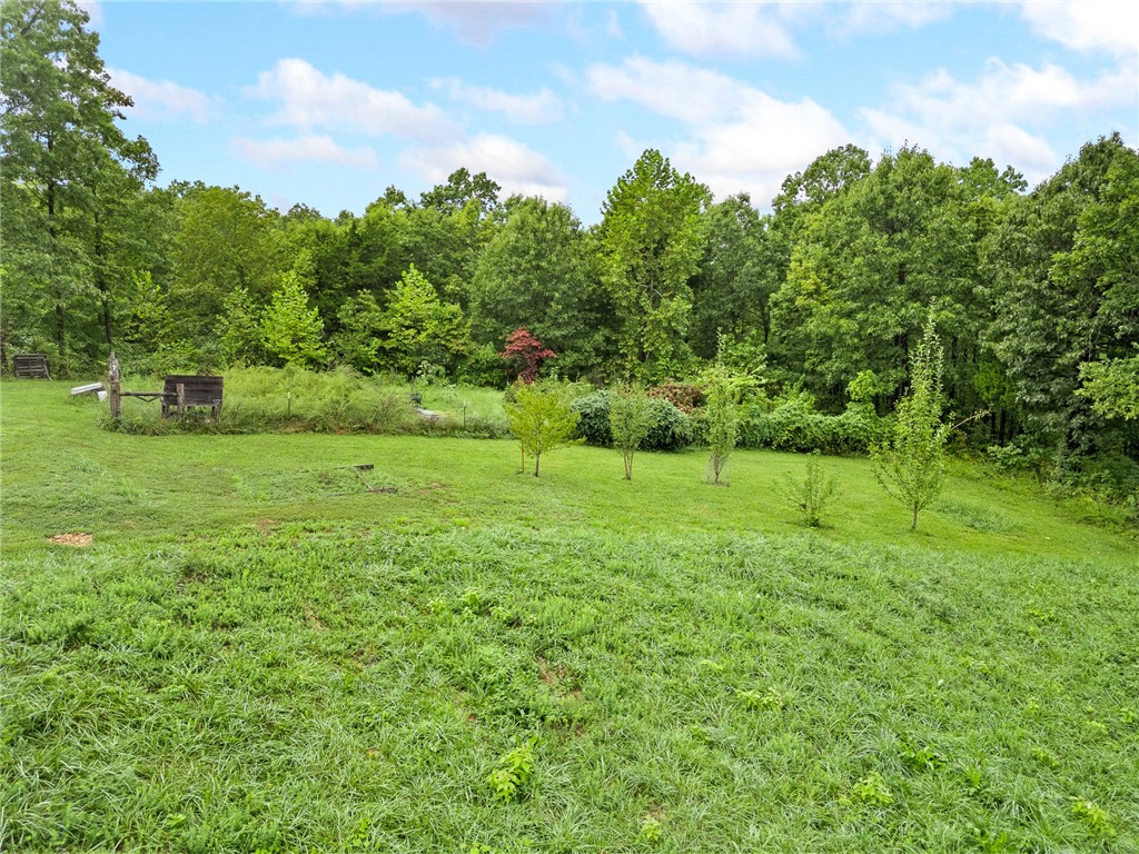 Dogpatch, Arkansas, 72648, United States, 3 Bedrooms Bedrooms, ,3 BathroomsBathrooms,Residential,For Sale,1958320