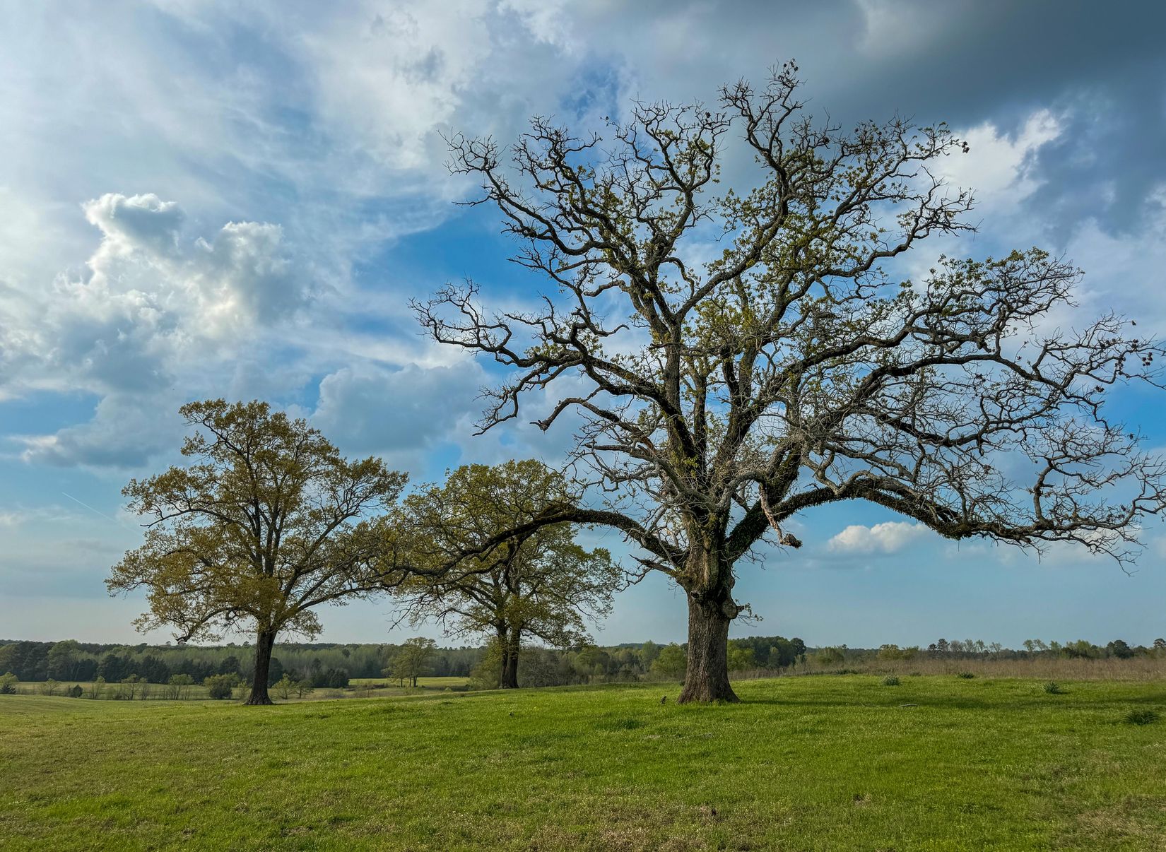 Bivins, Texas, 75555, United States, ,Residential,For Sale,1755933