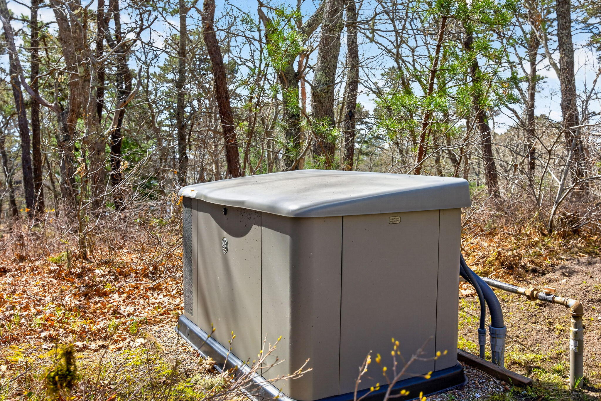 72 Winstead Road, Brewster, MA, 02631 - 物件實景