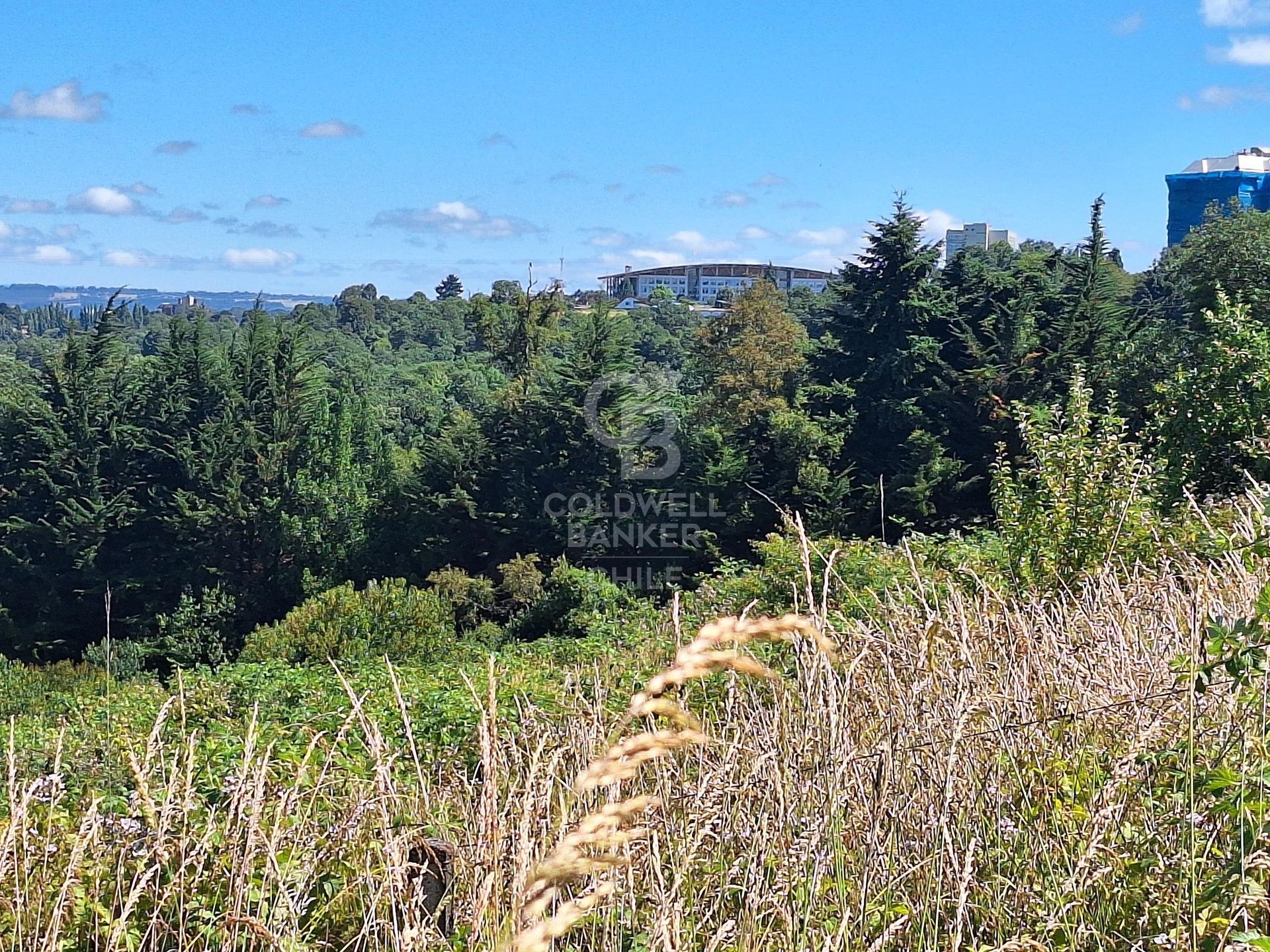 Osorno, Chile, ,Land,For Sale,1972838