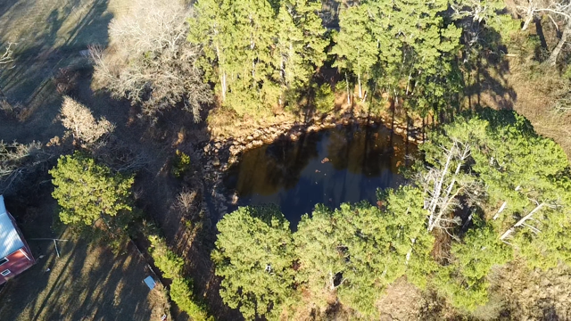 Clarksville, Arkansas, 72830, United States, 7 Bedrooms Bedrooms, ,3 BathroomsBathrooms,Residential,For Sale,2005713