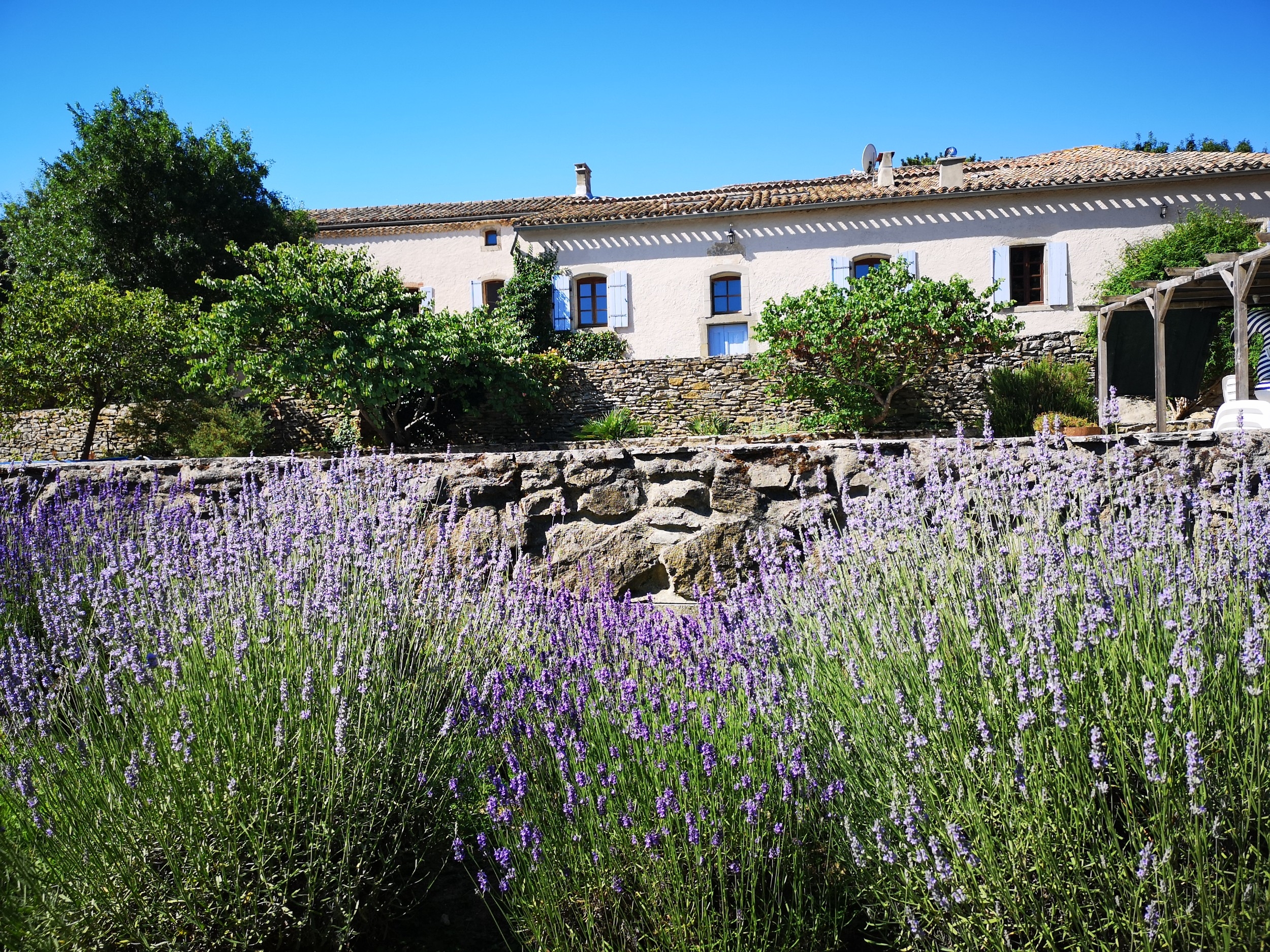  MAGNIFICENT DOMAIN BETWEEN VINEYARDS AND GARRIGUE NEAR PEYRIAC MINERVOIS - 物件實景