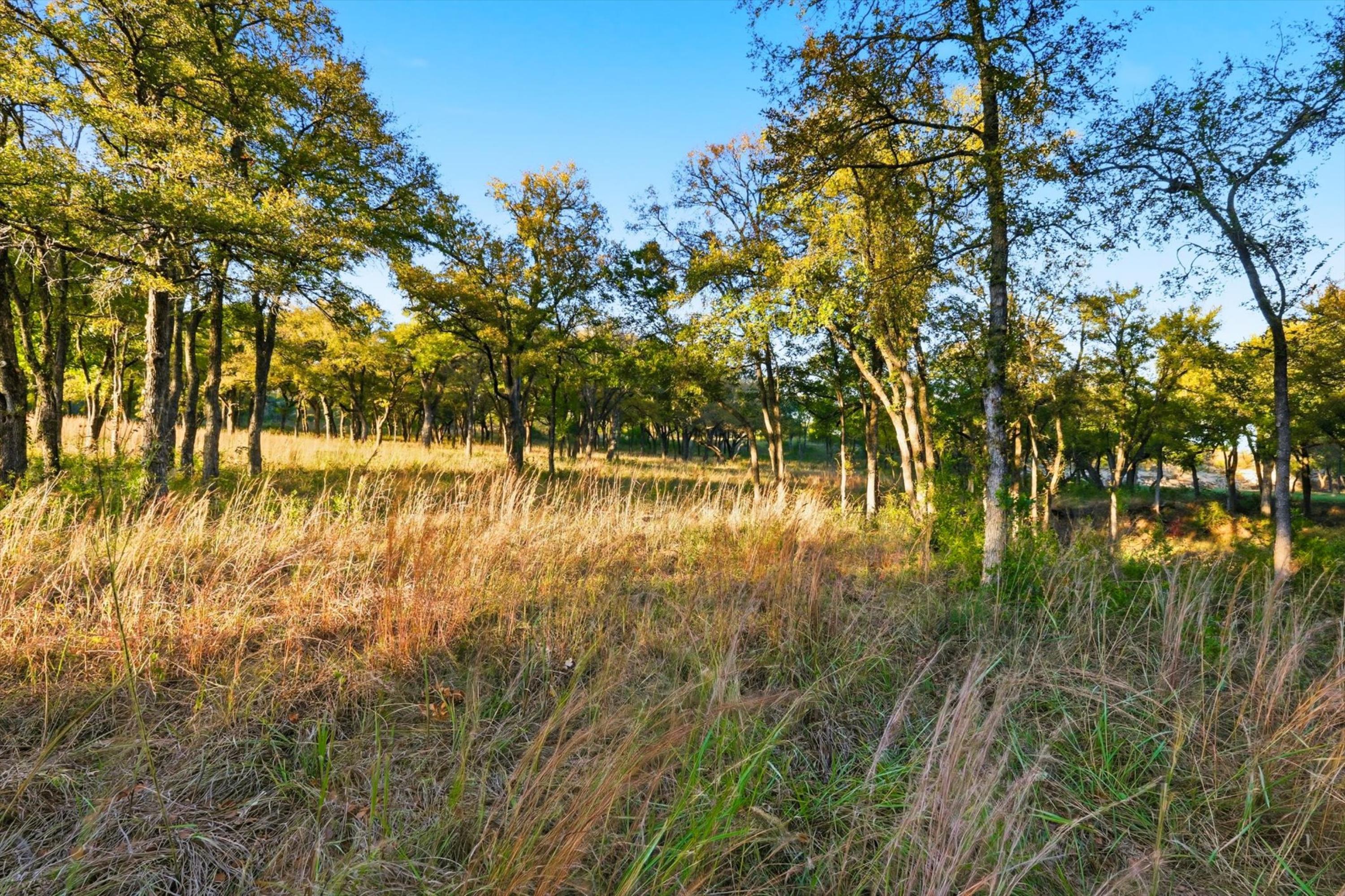  20 Acre Ranchette near luxury golf community in prestigious Aledo ISD - 物件實景