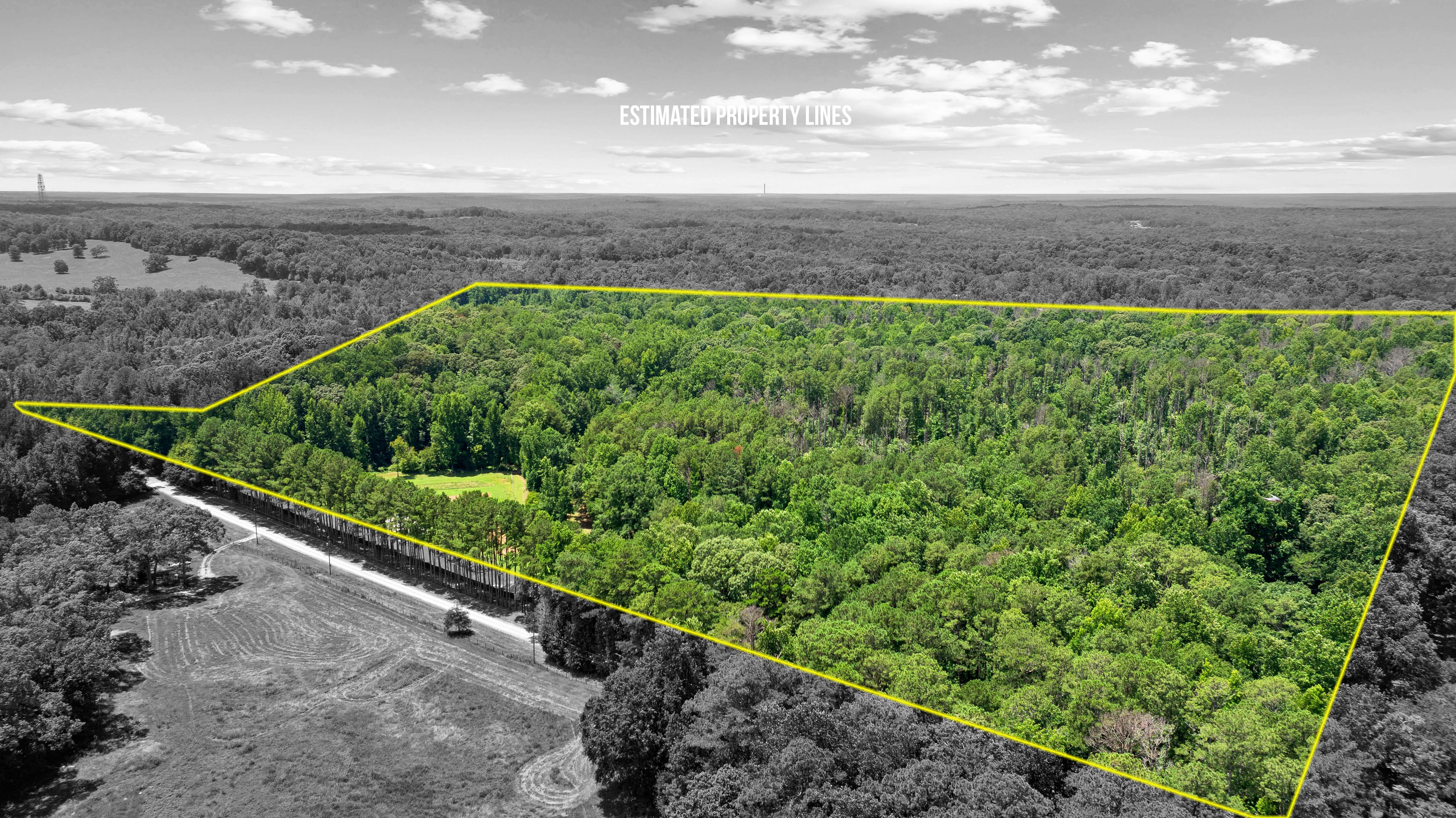  52 +/- Acres of Working Land and Quiet Woods - 物件實景
