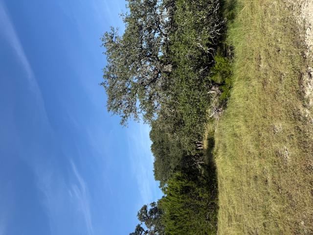 Fredericksburg, Texas, 78624, United States, 3 Bedrooms Bedrooms, ,2 BathroomsBathrooms,Residential,For Sale,1984349