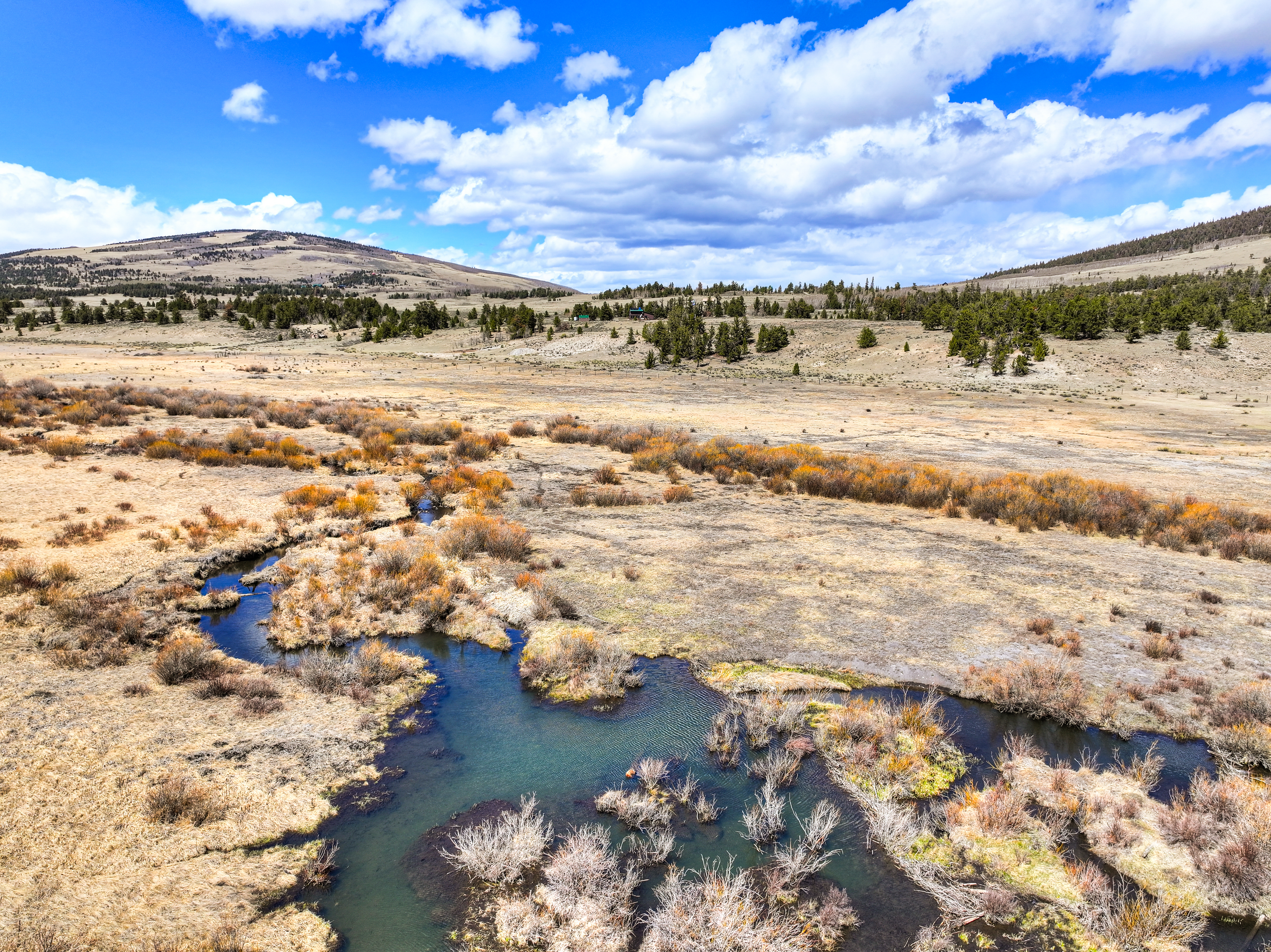  2867 Willow Creek Lane, Fairplay, CO, 80440 - 物件實景