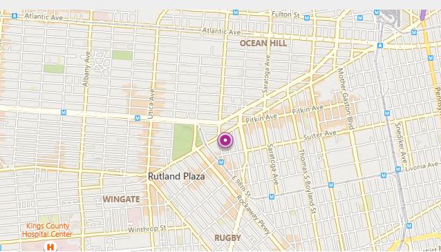 Brooklyn, New York, 11212, United States, 7 Bedrooms Bedrooms, ,4 BathroomsBathrooms,Residential,For Sale,1943888