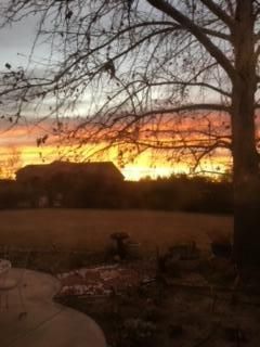 Socorro, New Mexico, 87801, United States, 3 Bedrooms Bedrooms, ,3 BathroomsBathrooms,Residential,For Sale,2000586