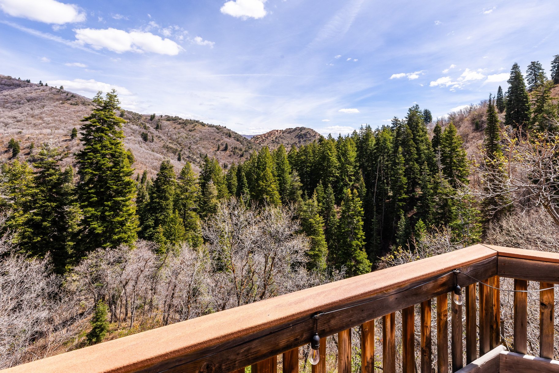  Eagle Nest Cabin with Fantastic Views - 物件實景