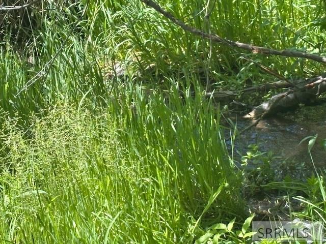 RIRIE, Idaho, 83443, United States, ,Residential,For Sale,1974893