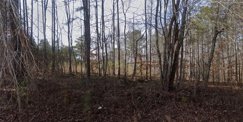Douglasville, Georgia, 30135, United States, ,Land,For Sale,1977387