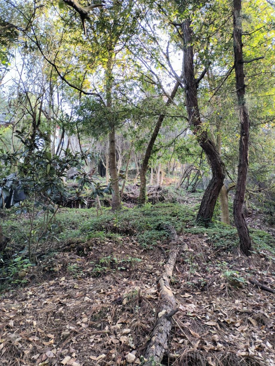 Valle de Bravo, Estado de méxico, 51200, Mexico, 1 Bedroom Bedrooms, ,Residential,For Sale,1721509