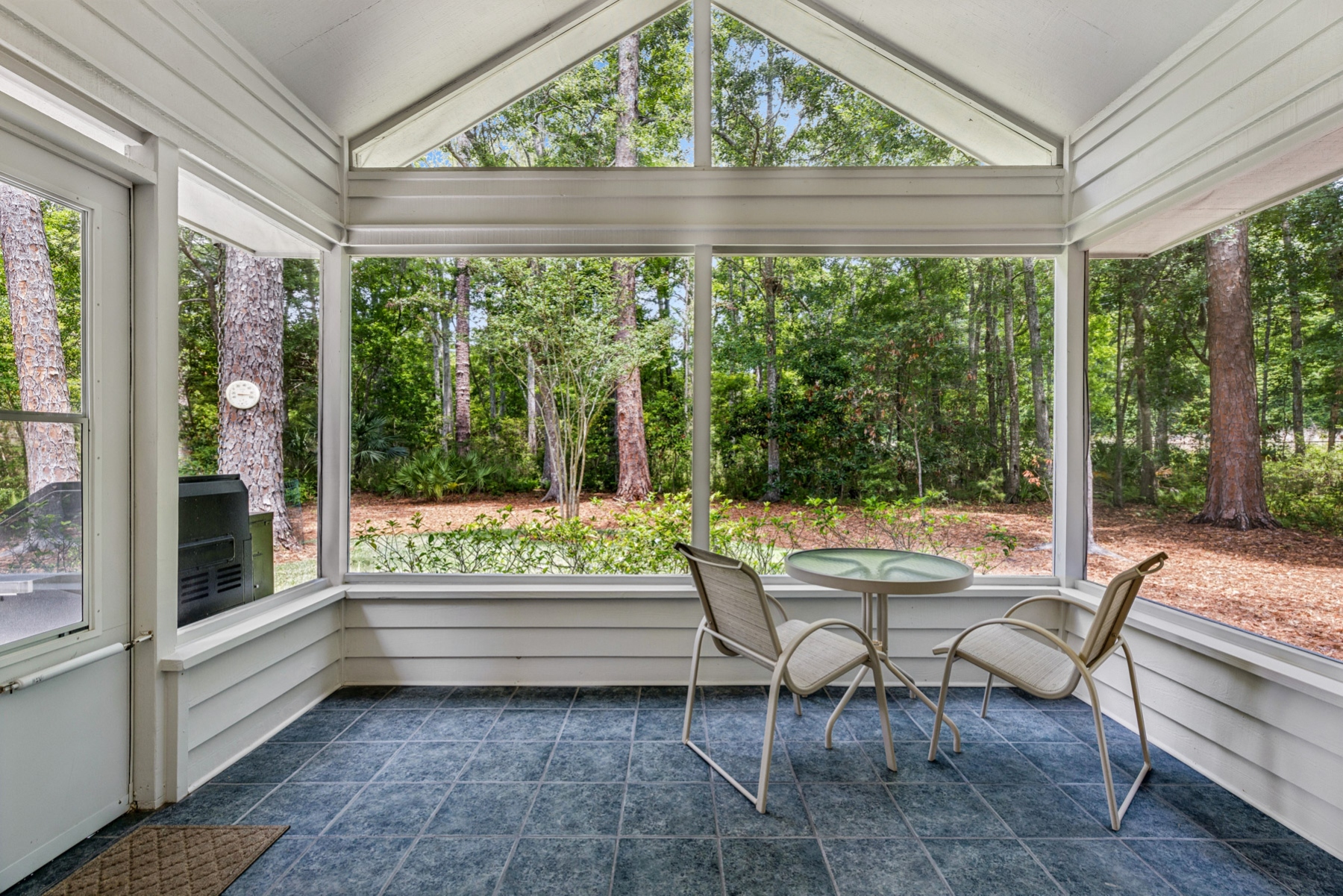  17 Balsams Court, Hilton Head Island - 物件實景