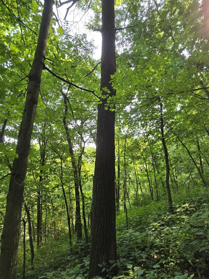 Gays Mills, Wisconsin, 54631, United States, 4 Bedrooms Bedrooms, ,3 BathroomsBathrooms,Residential,For Sale,1914318