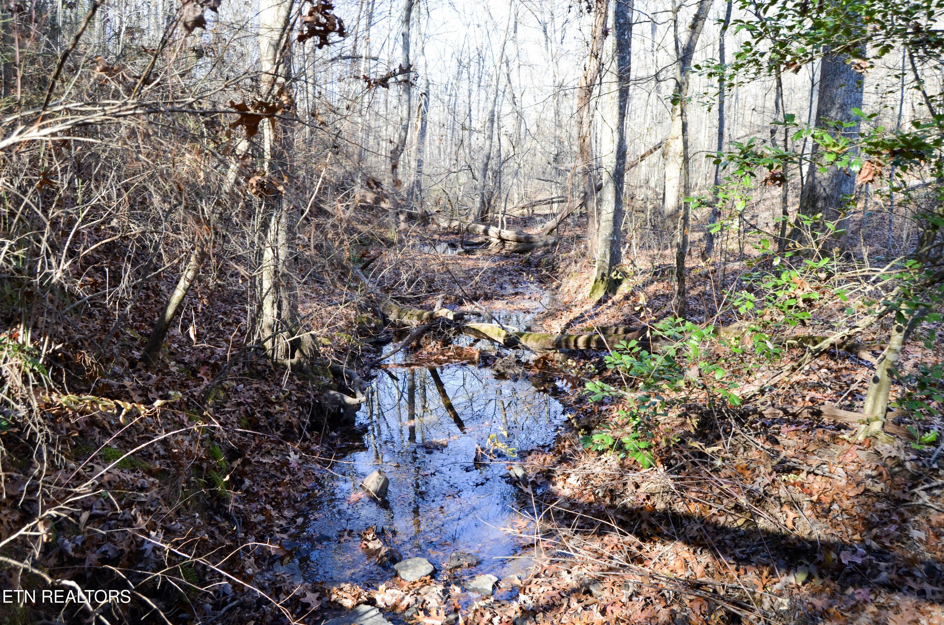 Crossville, Tennessee, 38555, United States, ,Land,For Sale,1978266