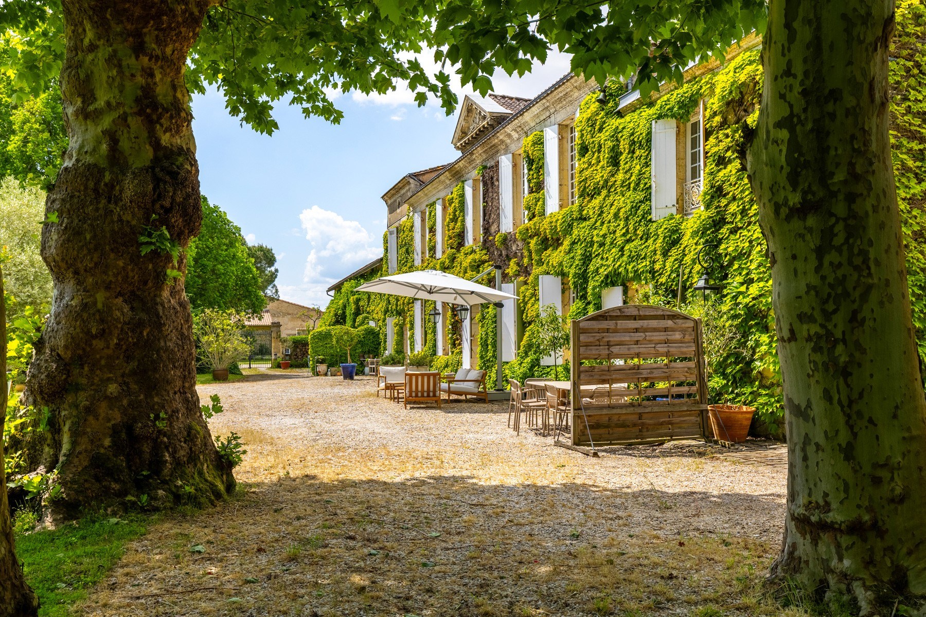  BORDEAUX 40MN - STUNNING 18th CHARTREUSE - 1.3 HECTARES PARK - 9 BEDROOMS - MAG… - 物件實景