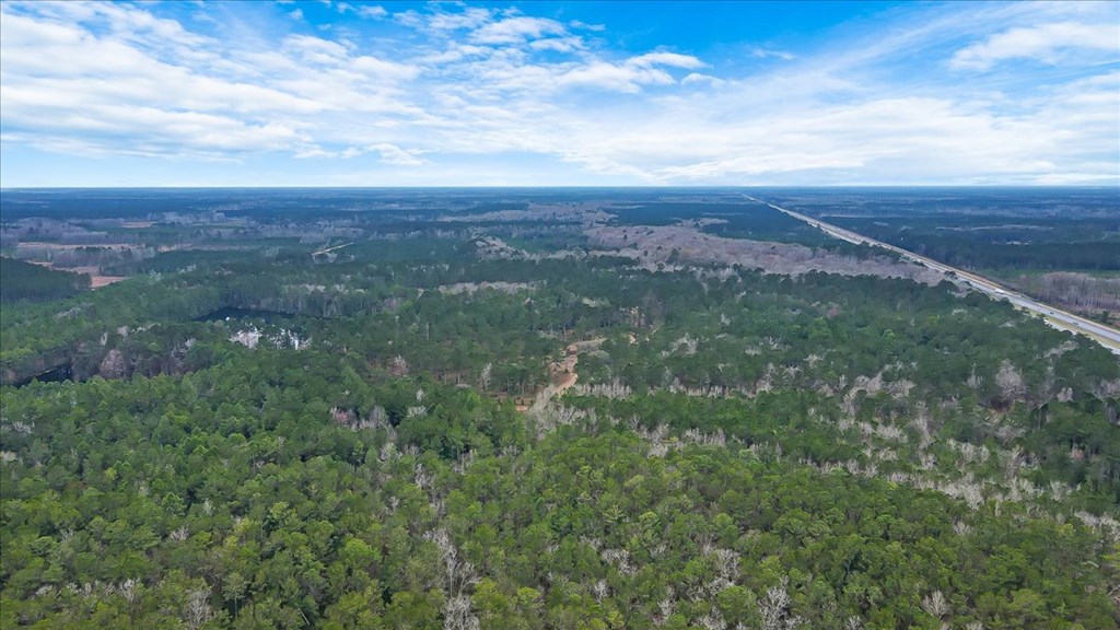 156 AC Us Hwy 17 Hwy, Townsend, Georgia, 31331, United States, ,Land,For Sale,156 AC Us Hwy 17 Hwy,1472997