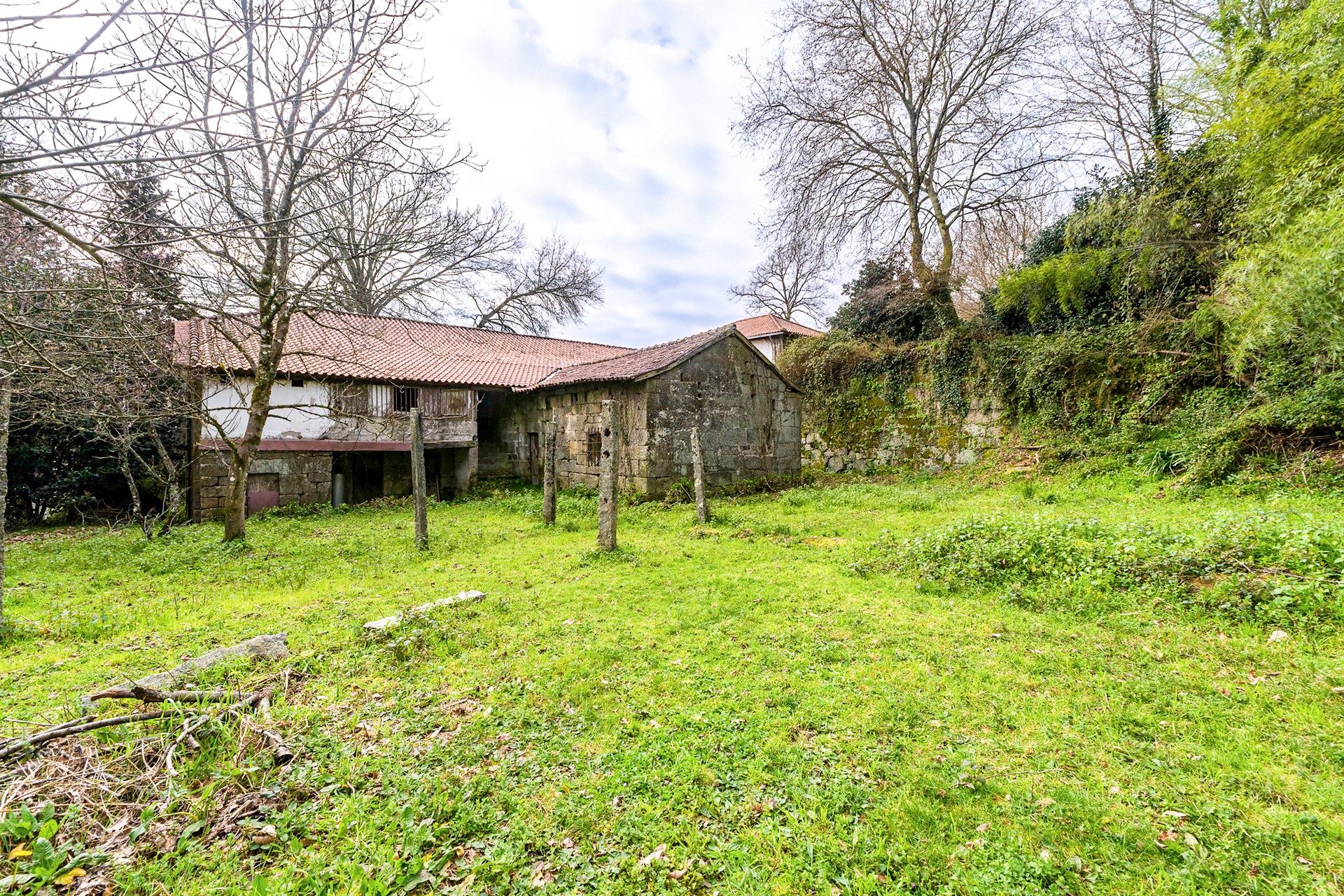  Farm for Sale - 物件實景