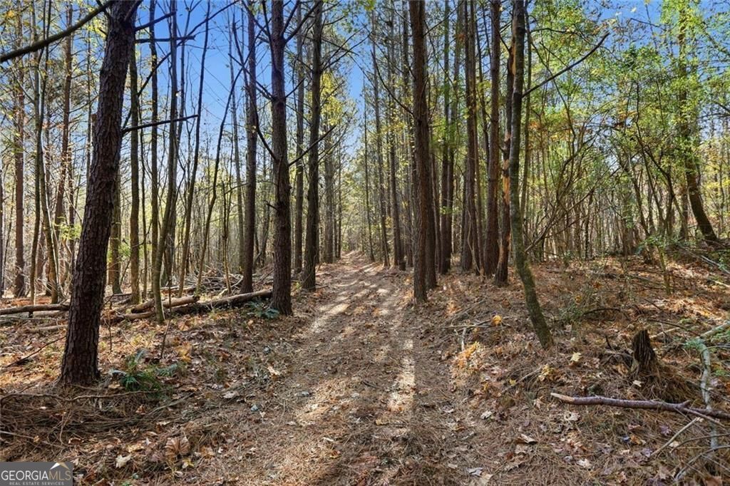Jasper, Georgia, 30143, United States, ,Land,For Sale,1996551