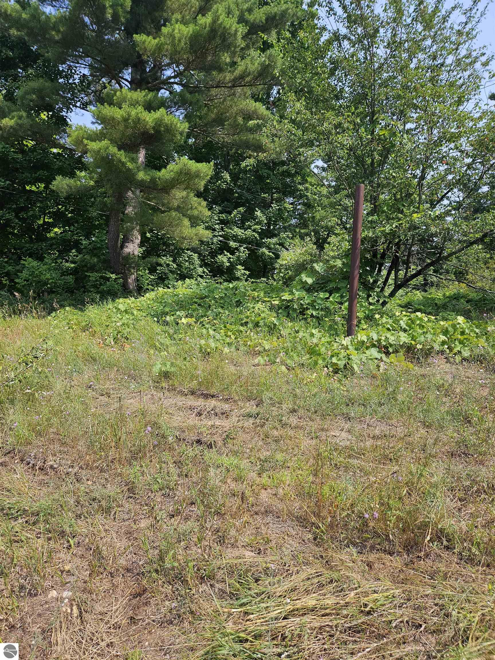 Williamsburg, Michigan, 49690, United States, ,Land,For Sale,1906031
