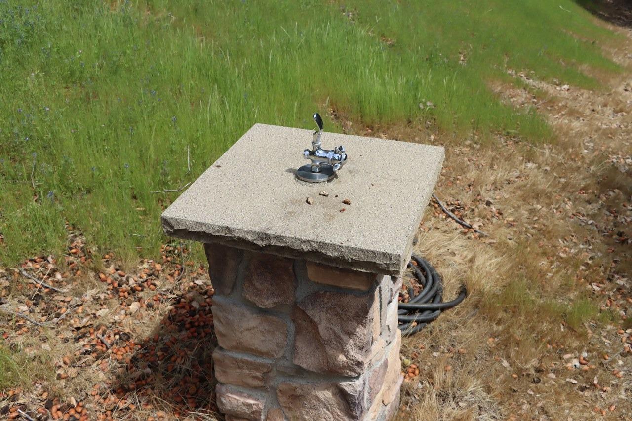 Mariposa, California, 95338, United States, 3 Bedrooms Bedrooms, ,3 BathroomsBathrooms,Residential,For Sale,1988847