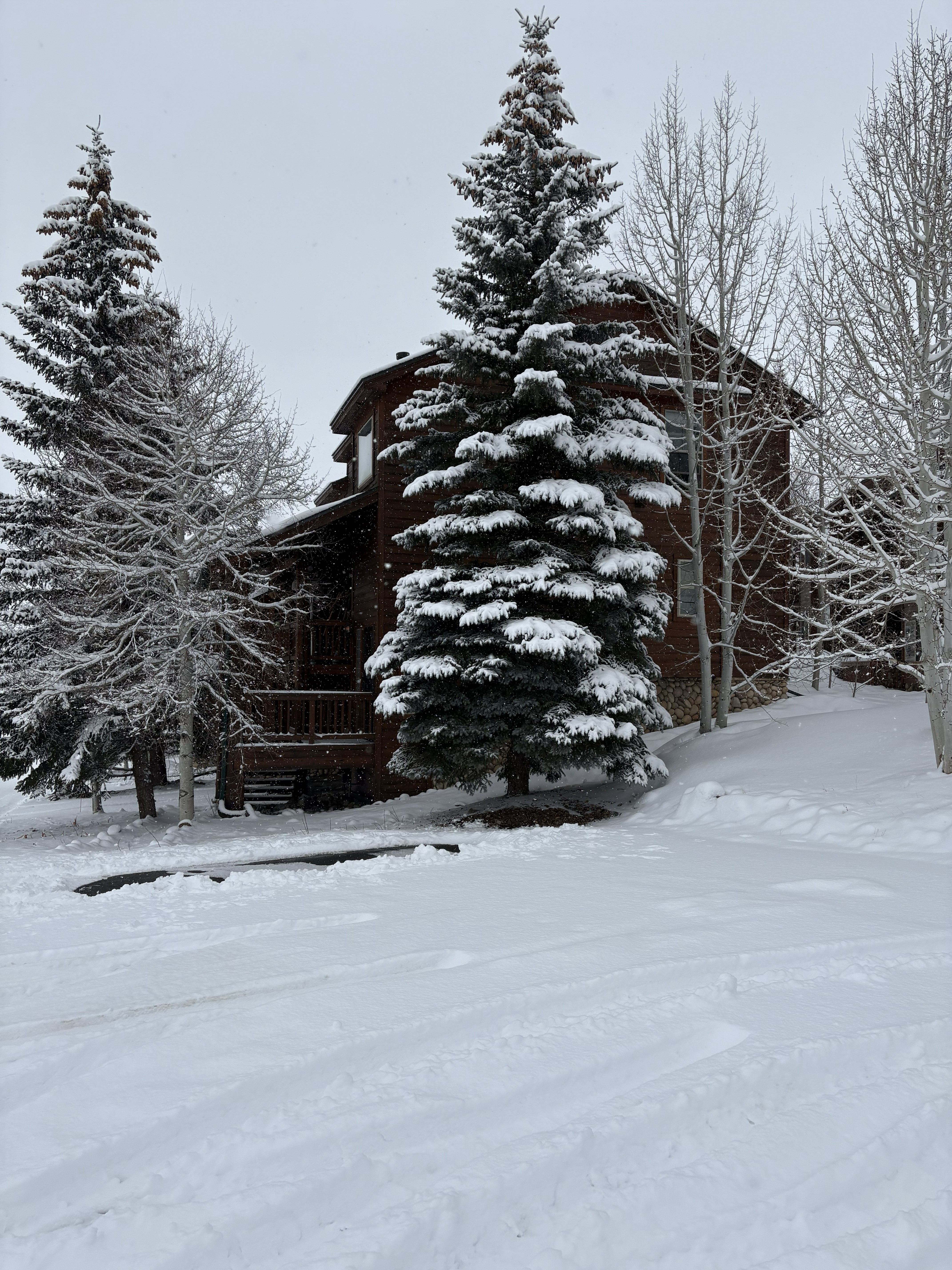  15 Lookout Ridge Drive, Dillon, CO, 80435 - 物件實景