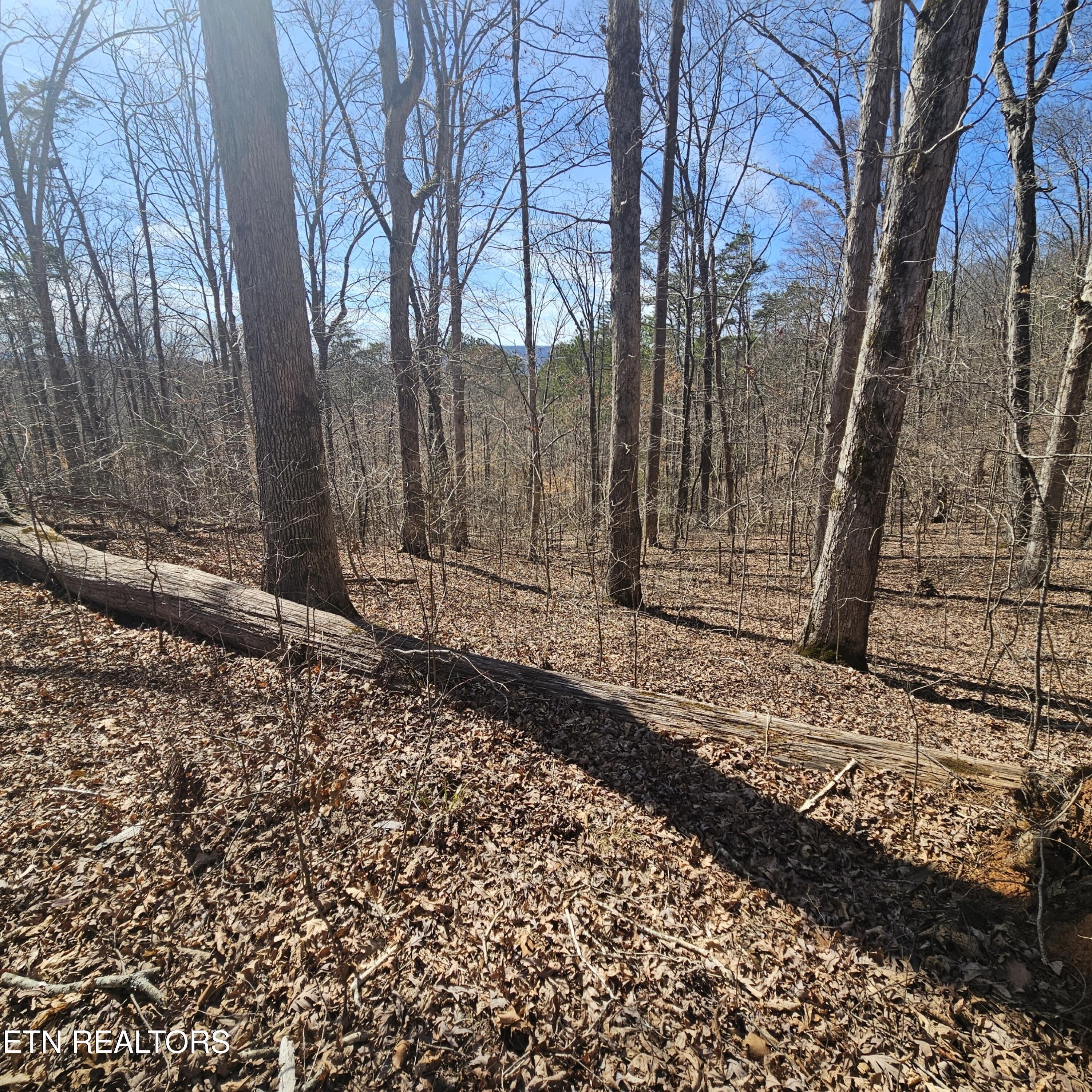 Tellico Plains, Tennessee, 37385, United States, ,Residential,For Sale,1922105