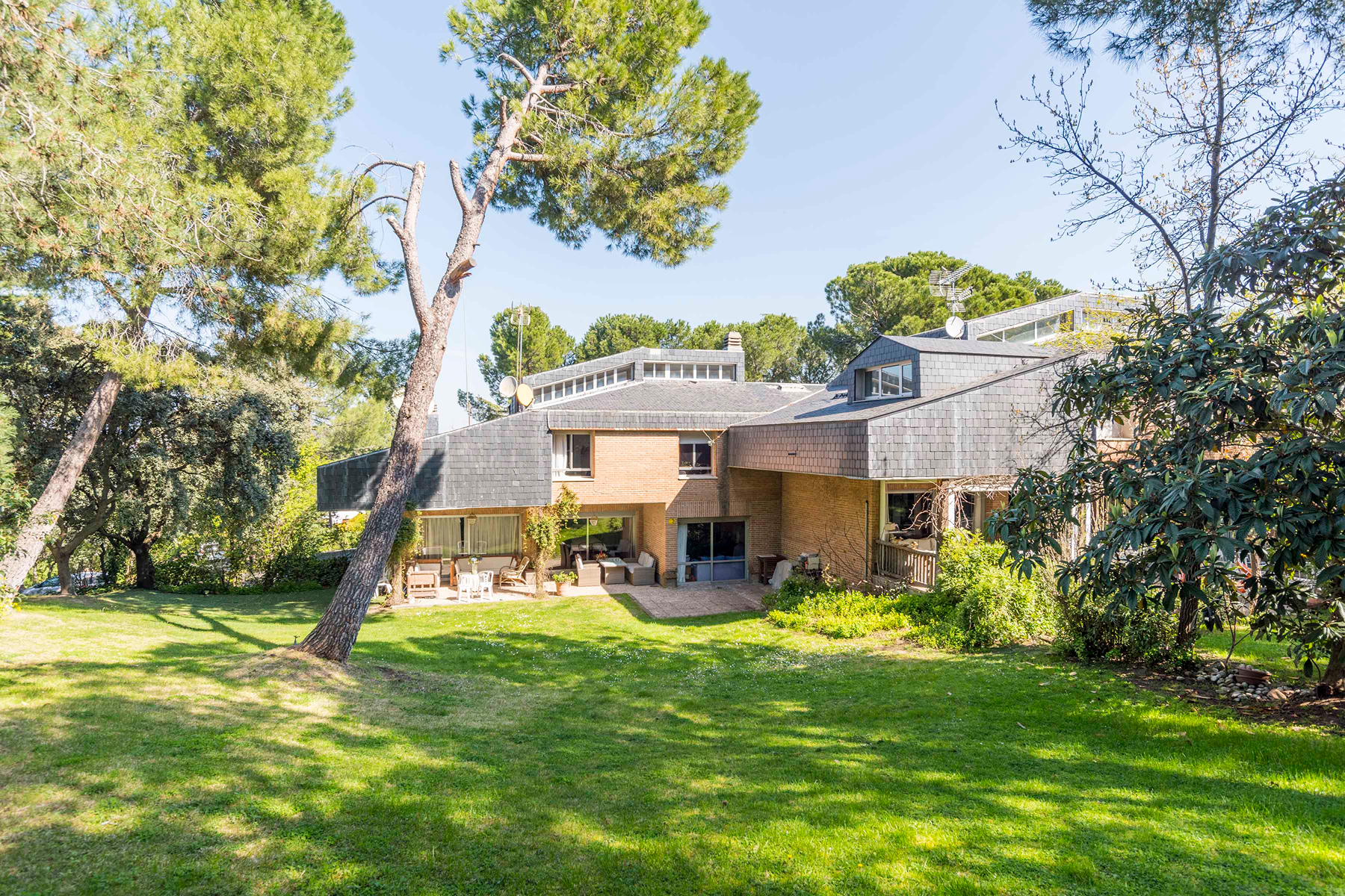  Wonderful hectare plot in La Moraleja - 物件實景