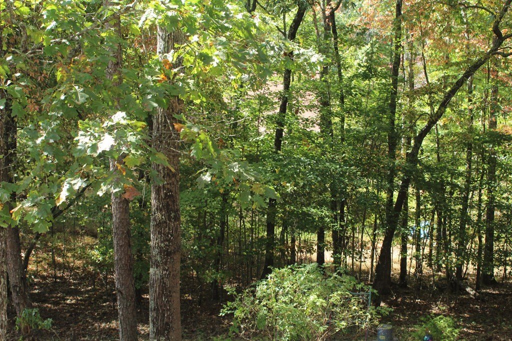 Murphy, North Carolina, 28906, United States, 2 Bedrooms Bedrooms, ,4 BathroomsBathrooms,Residential,For Sale,1915362