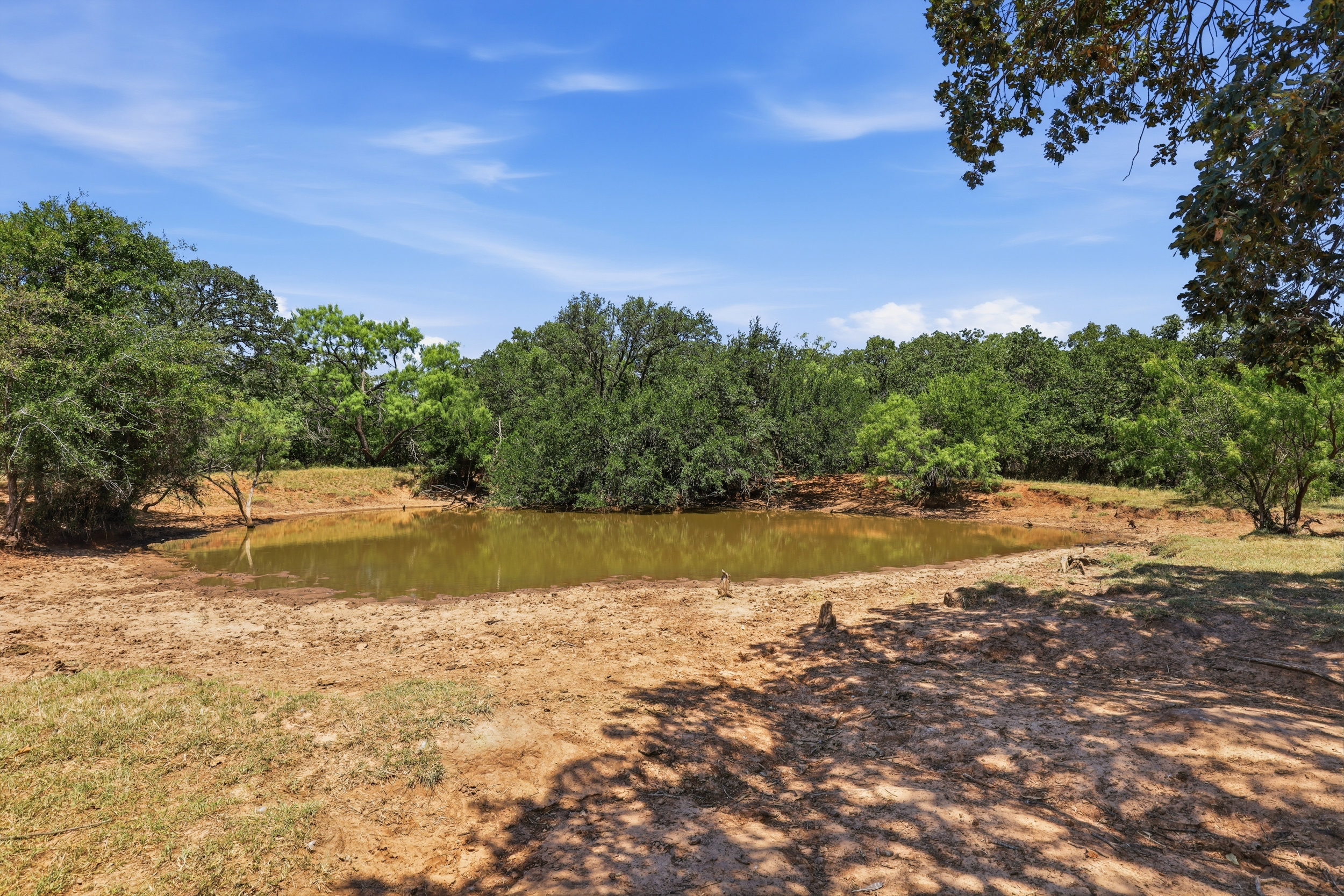  125 Acres of Texas Land for Recreation and Retreat - 物件實景