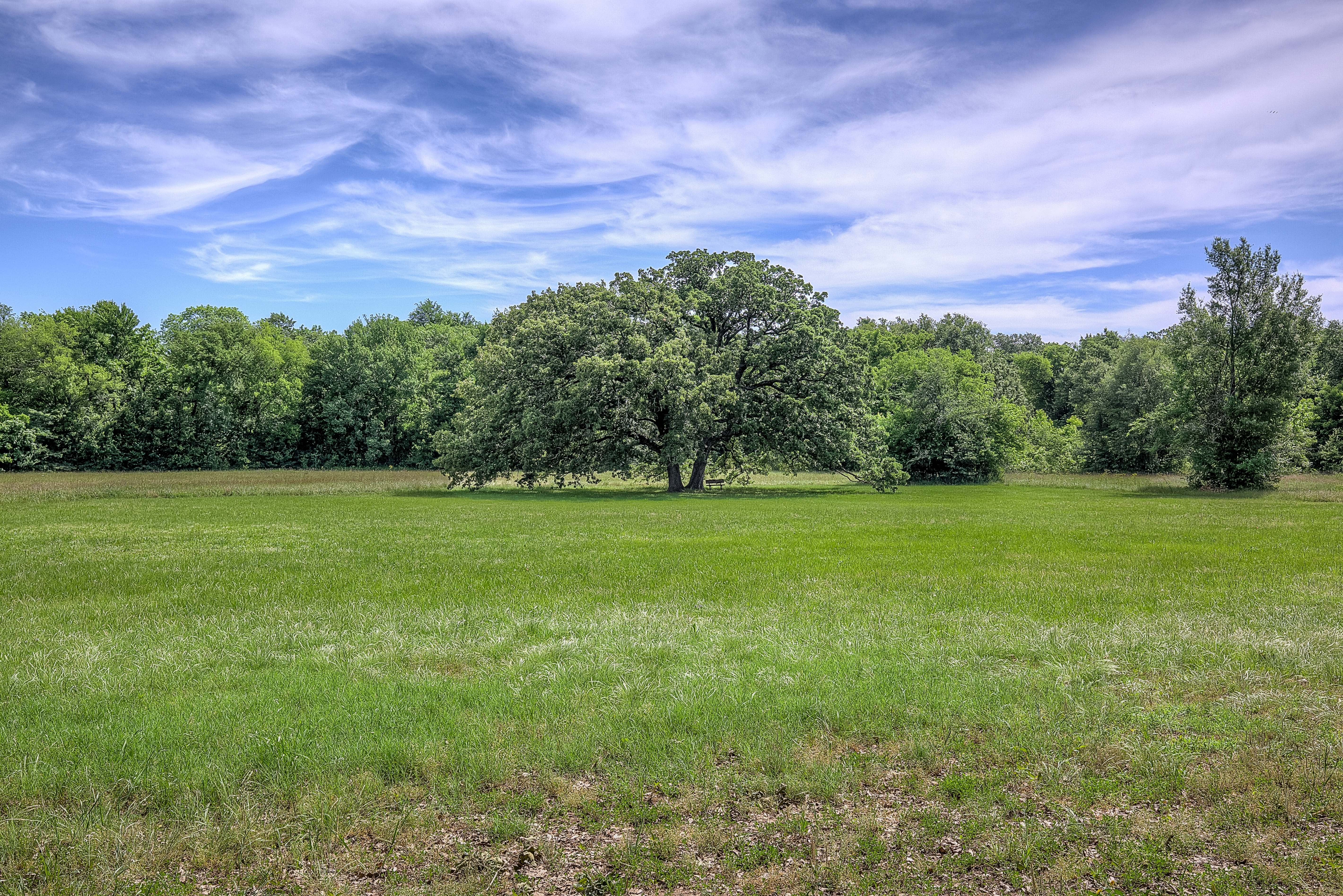Sulphur Springs, Texas, 75482, United States, 4 Bedrooms Bedrooms, ,4 BathroomsBathrooms,Residential,For Sale,1981716