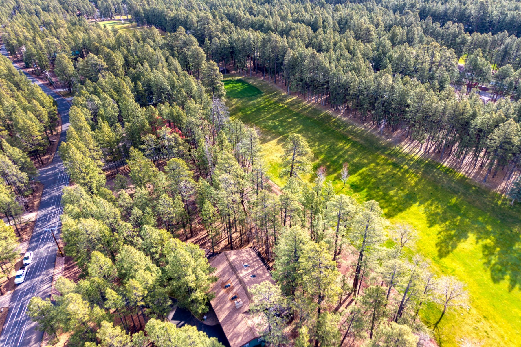  7139 Buck Springs Road  Pinetop, AZ - 物件實景