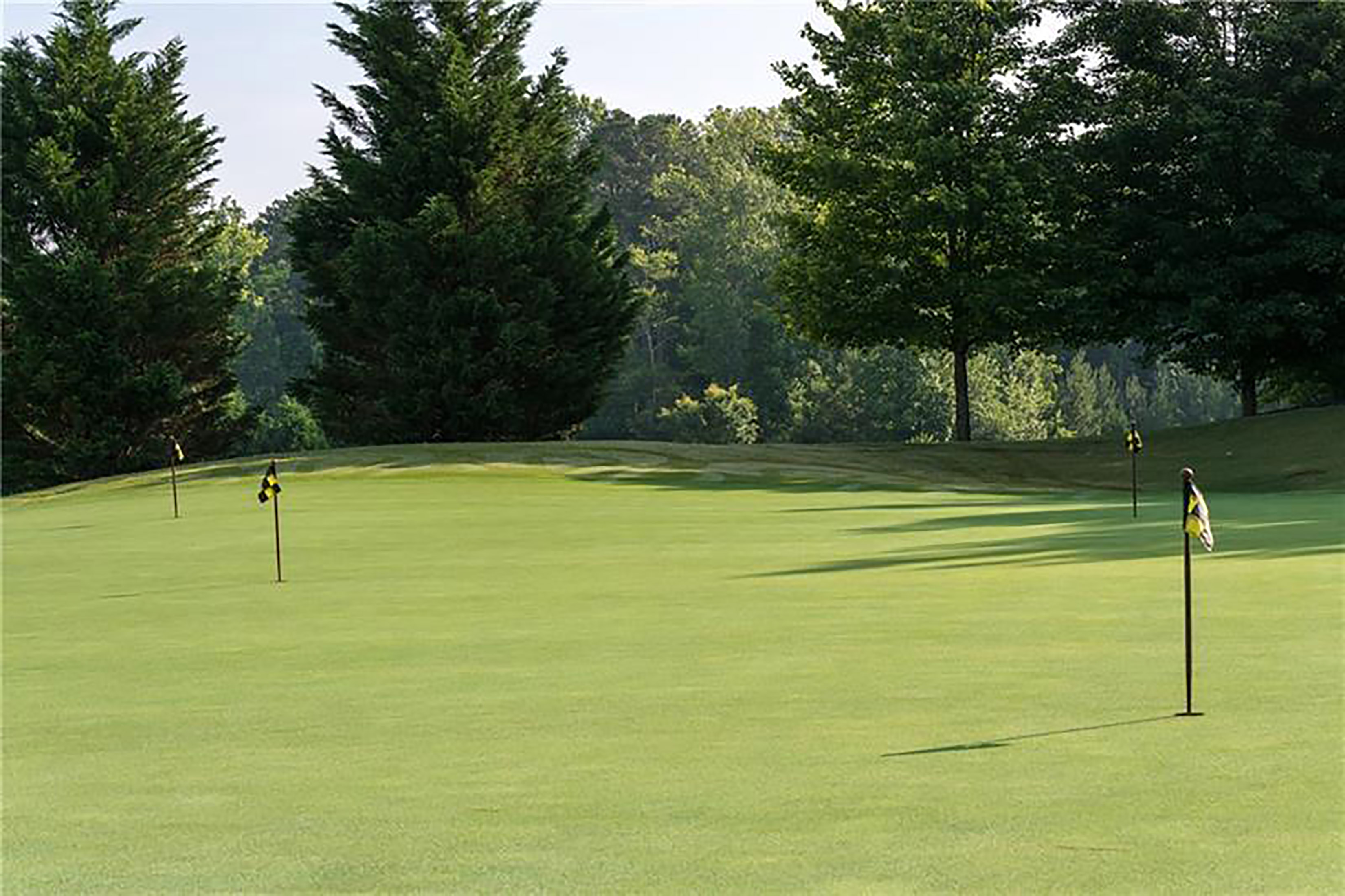  Extraordinary Estate in Prestigious Gated The Manor Golf and Country Club - 物件實景