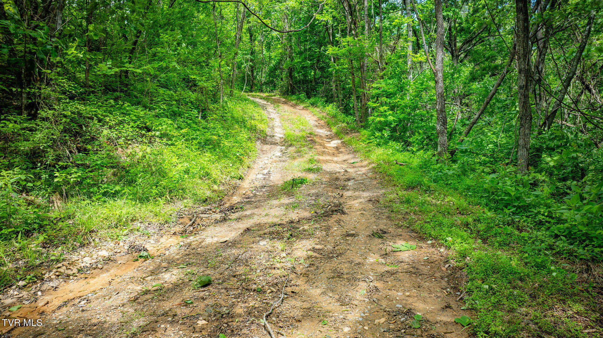 Kingsport, Tennessee, 37660, United States, 1 Bedroom Bedrooms, ,1 BathroomBathrooms,Residential,For Sale,1973991