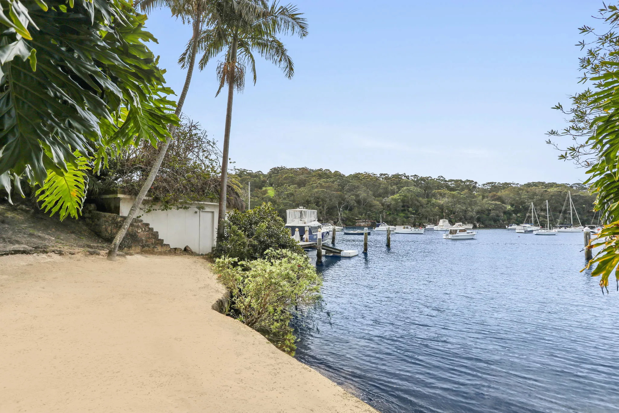  28 Cowdroy Avenue, Cammeray - 物件實景