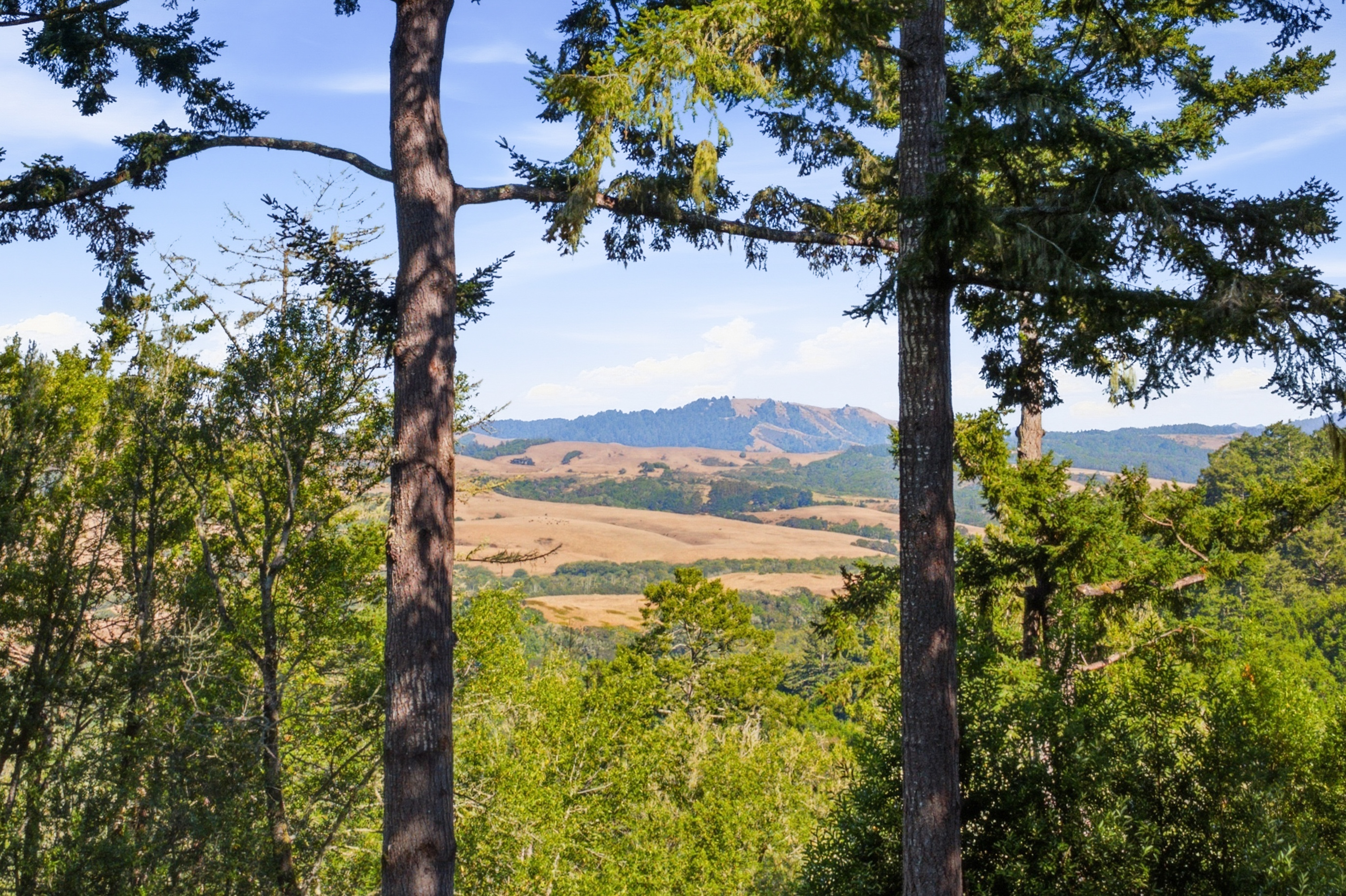  West Marin Legacy Estate - 物件實景