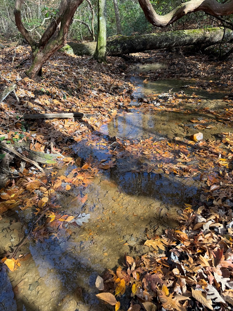 Blue Ridge, Georgia, 30513, United States, 3 Bedrooms Bedrooms, ,3 BathroomsBathrooms,Residential,For Sale,1995238