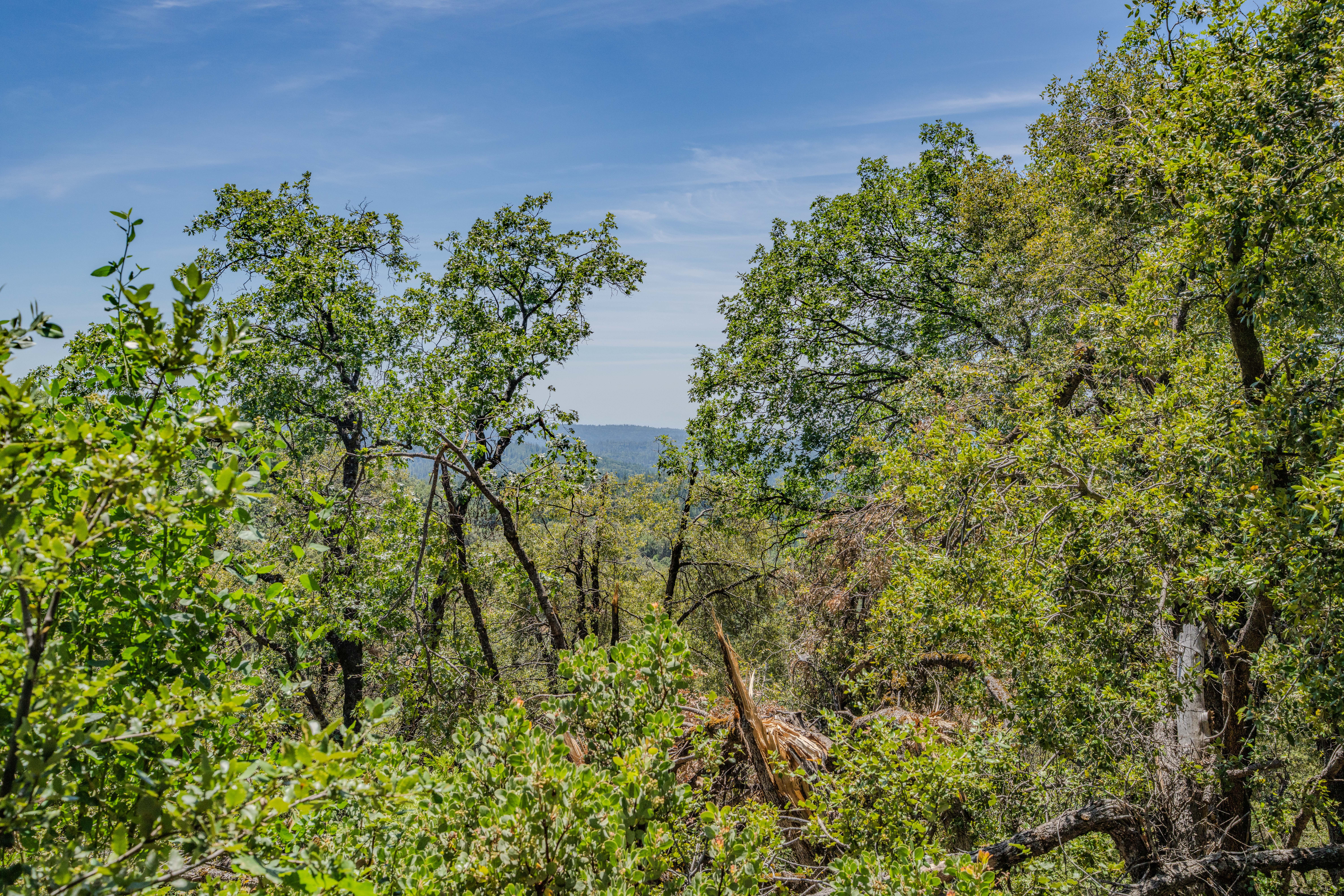  24100 Canterbury Road, Pioneer, CA 95666 - 物件實景