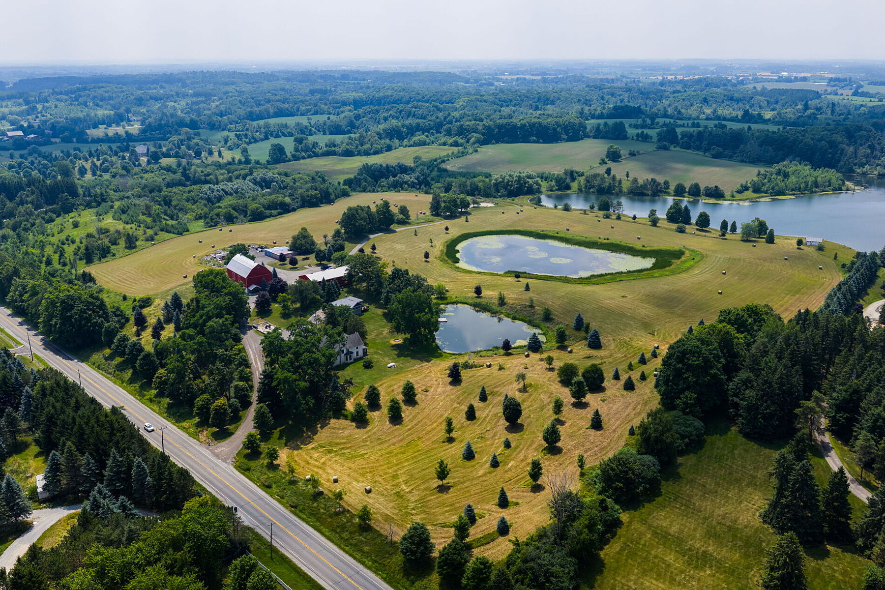  96-acre Farm Estate - 物件實景