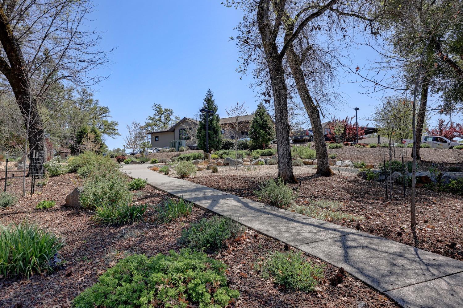 Penn Valley, California, 95946, United States, 3 Bedrooms Bedrooms, ,3 BathroomsBathrooms,Residential,For Sale,1784644