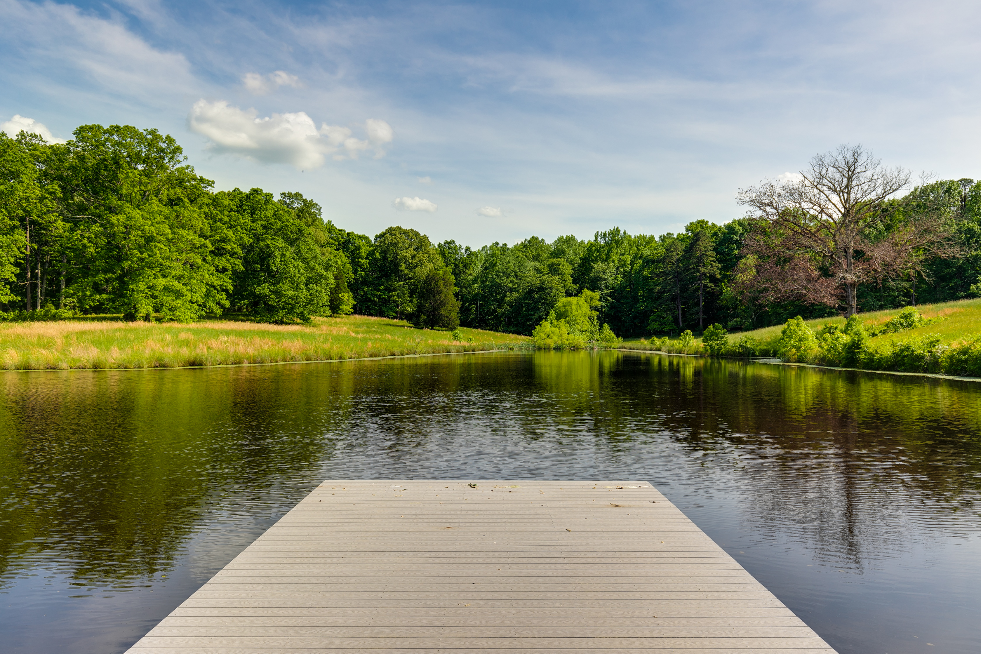  785 Oak Spring Lane, Goochland, VA 23103 - 物件實景