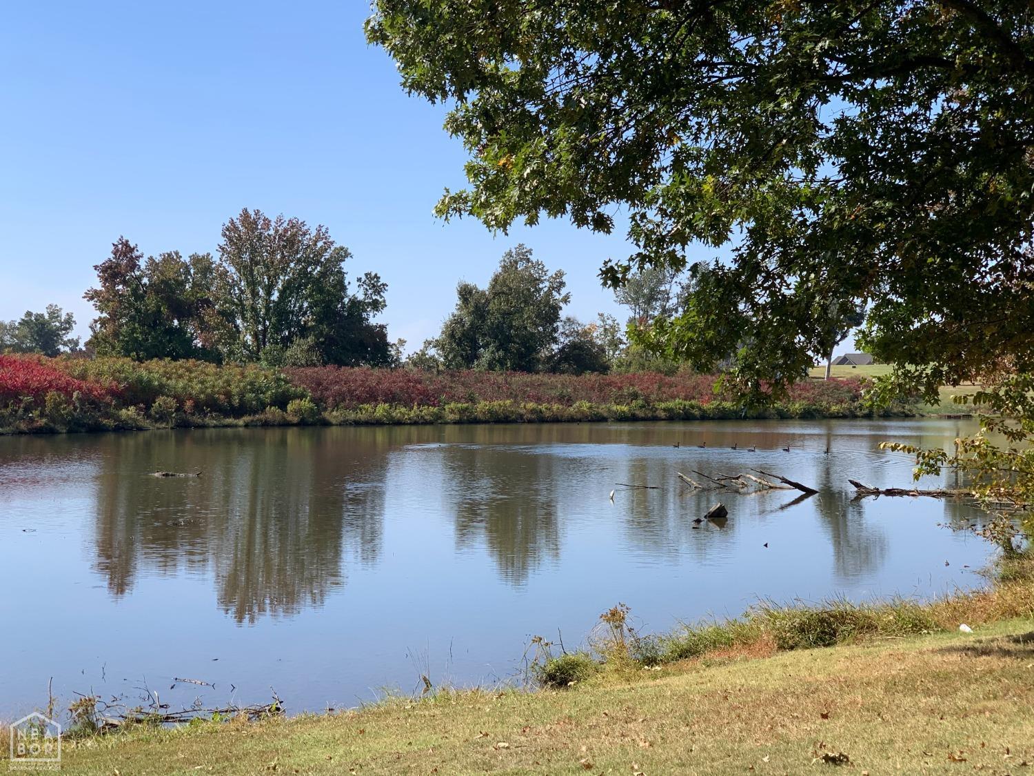 Wynne, Arkansas, 72396, United States, 4 Bedrooms Bedrooms, ,5 BathroomsBathrooms,Residential,For Sale,1979958