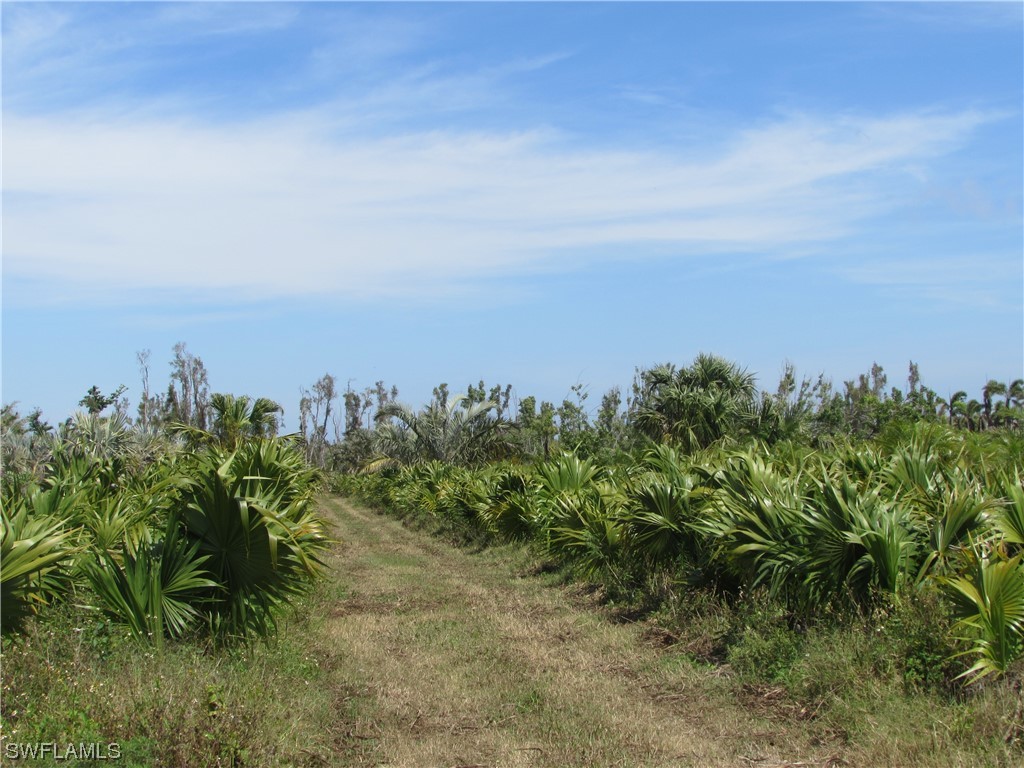 13350 Stringfellow Road, Bokeelia, Florida, 33922, United States, ,Residential,For Sale,13350 Stringfellow Road,1239470