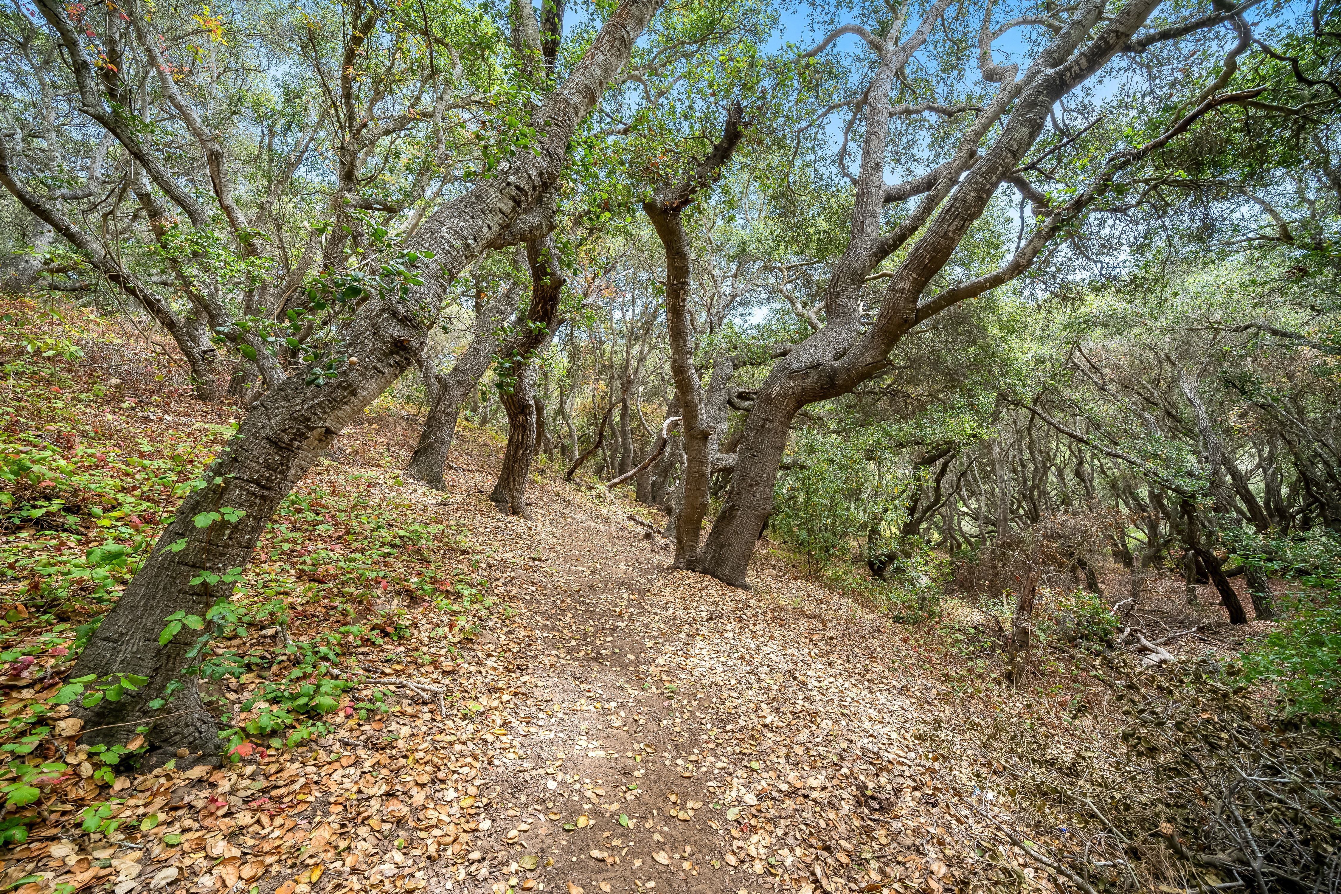  1550 Bayview Heights Drive, Los Osos, CA 93402 - 物件實景