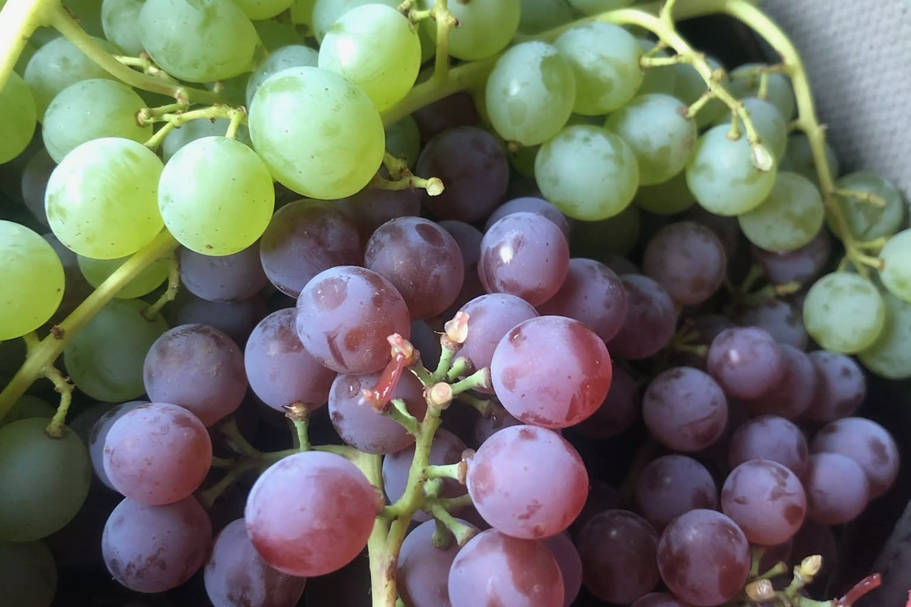  Charming Country Home on 10 Acres - 物件實景