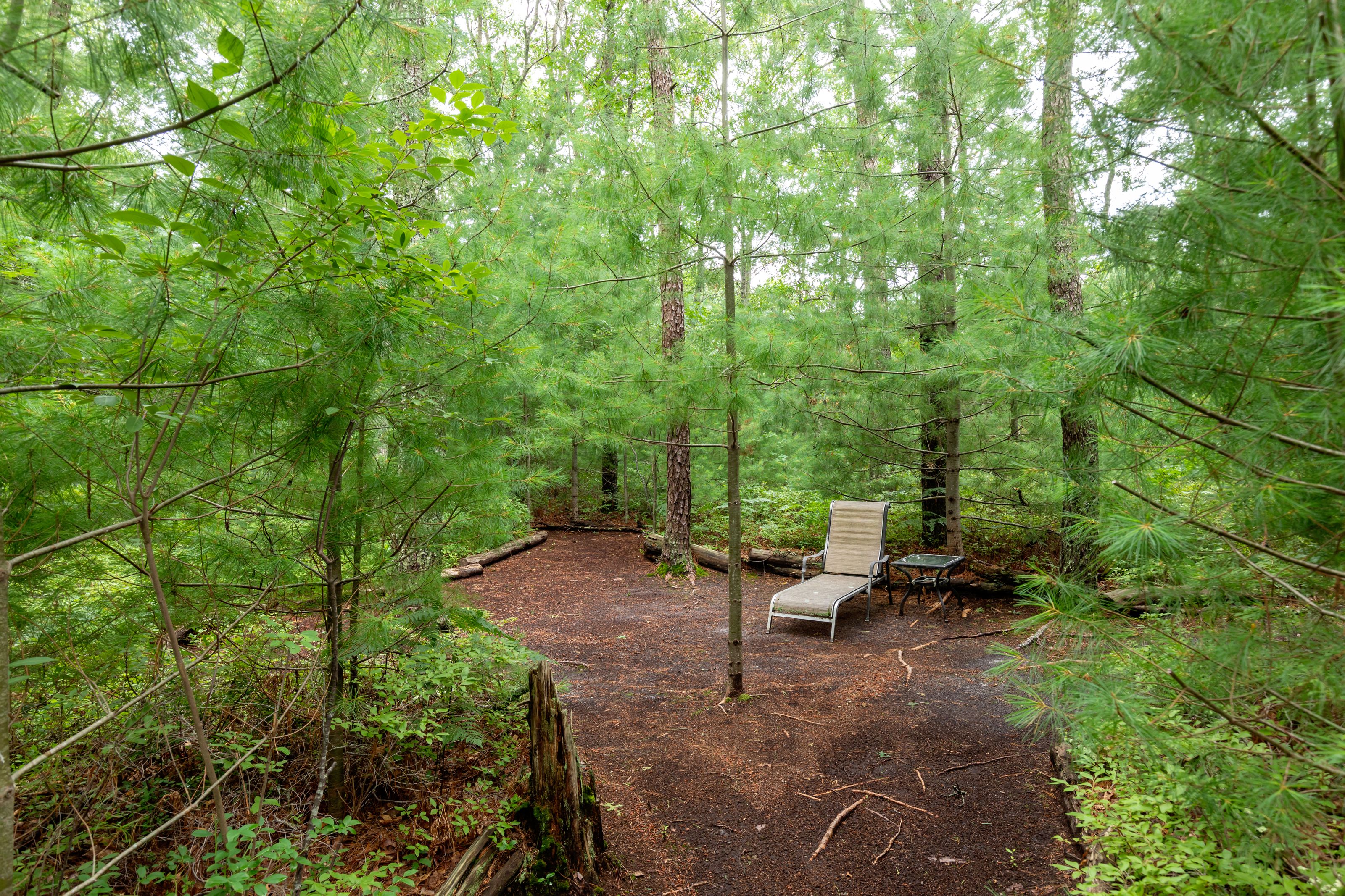  195 Bournehurst Drive, Plymouth, MA, 02360 - 物件實景